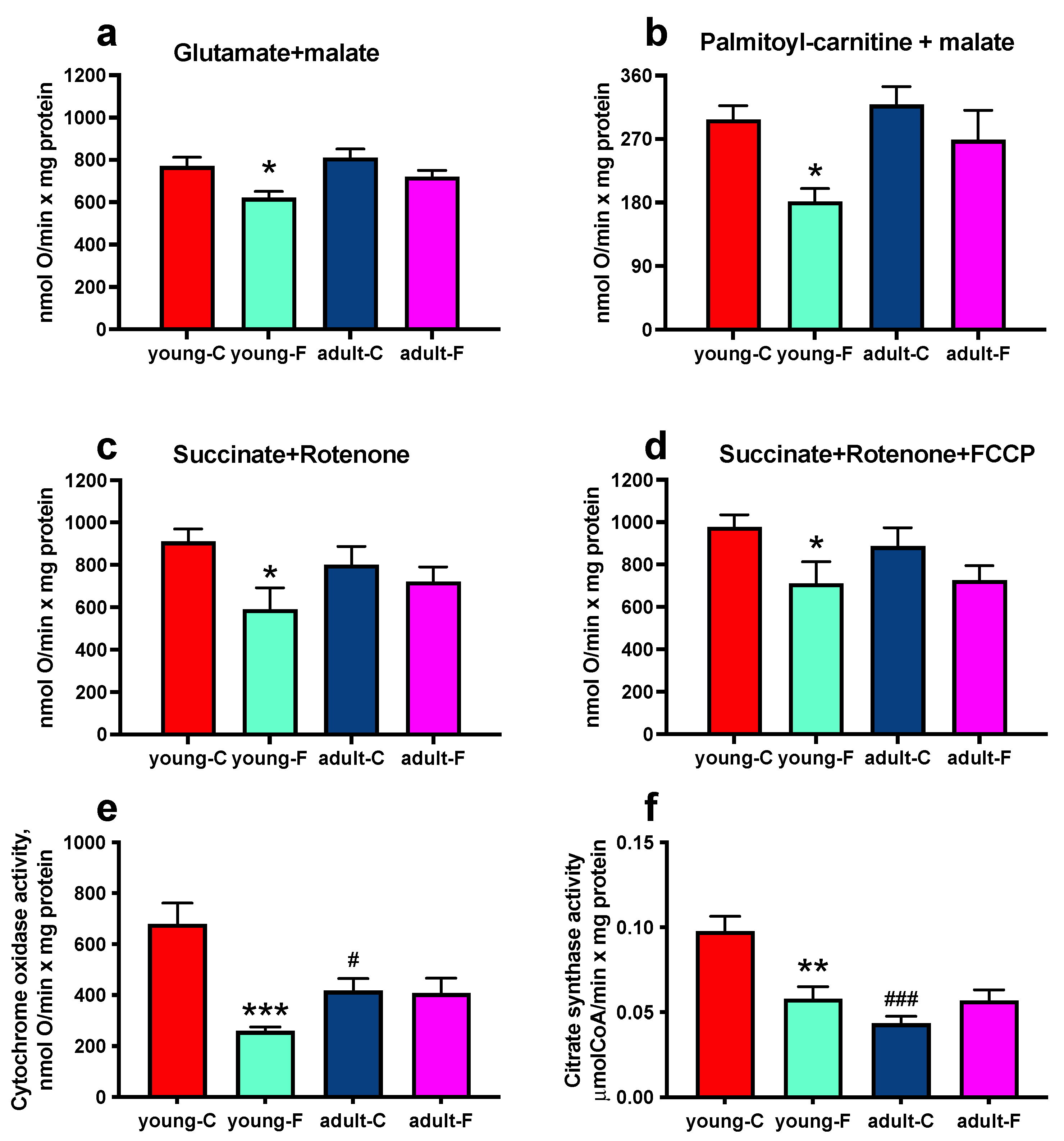 Antioxidants 12 00299 g004