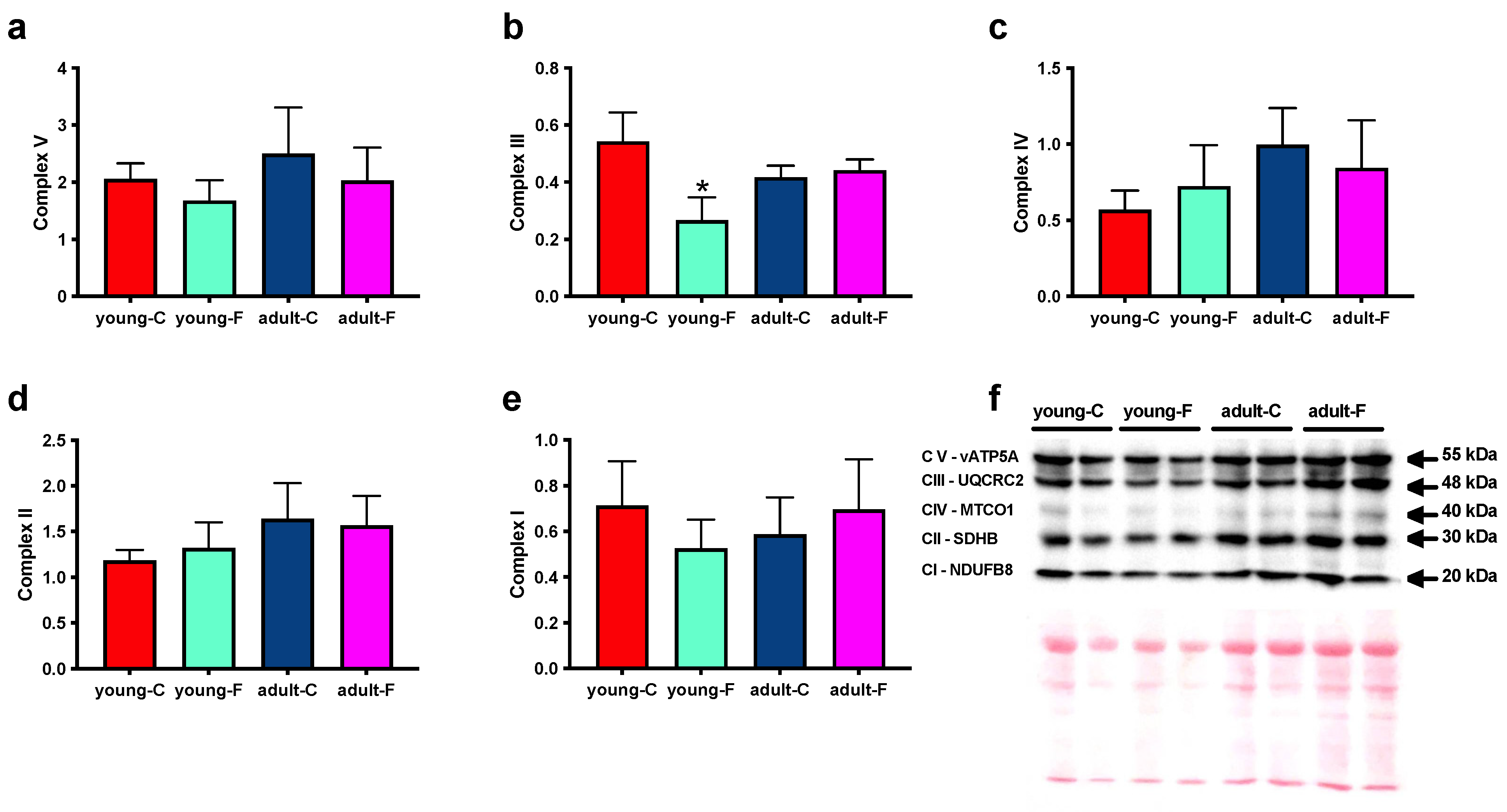 Antioxidants 12 00299 g005