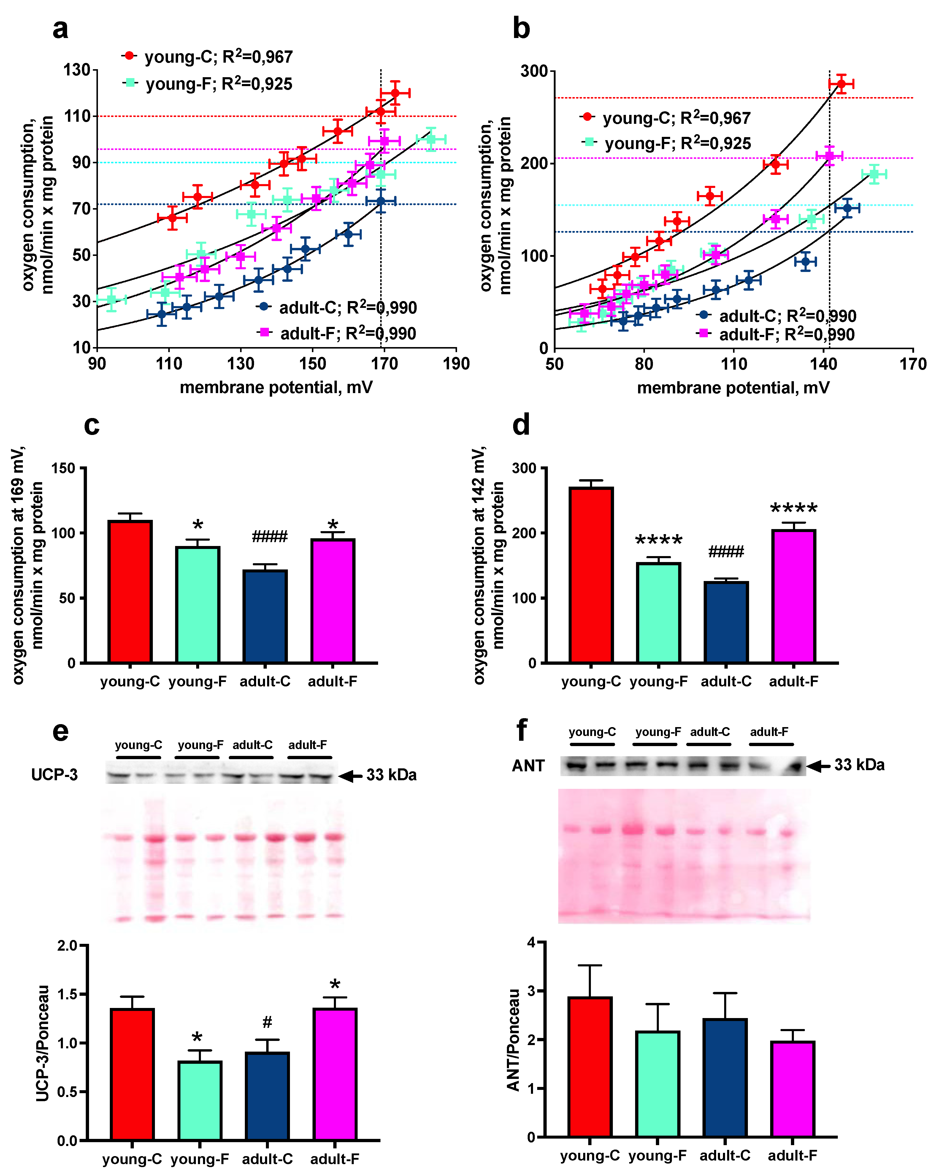 Antioxidants 12 00299 g006