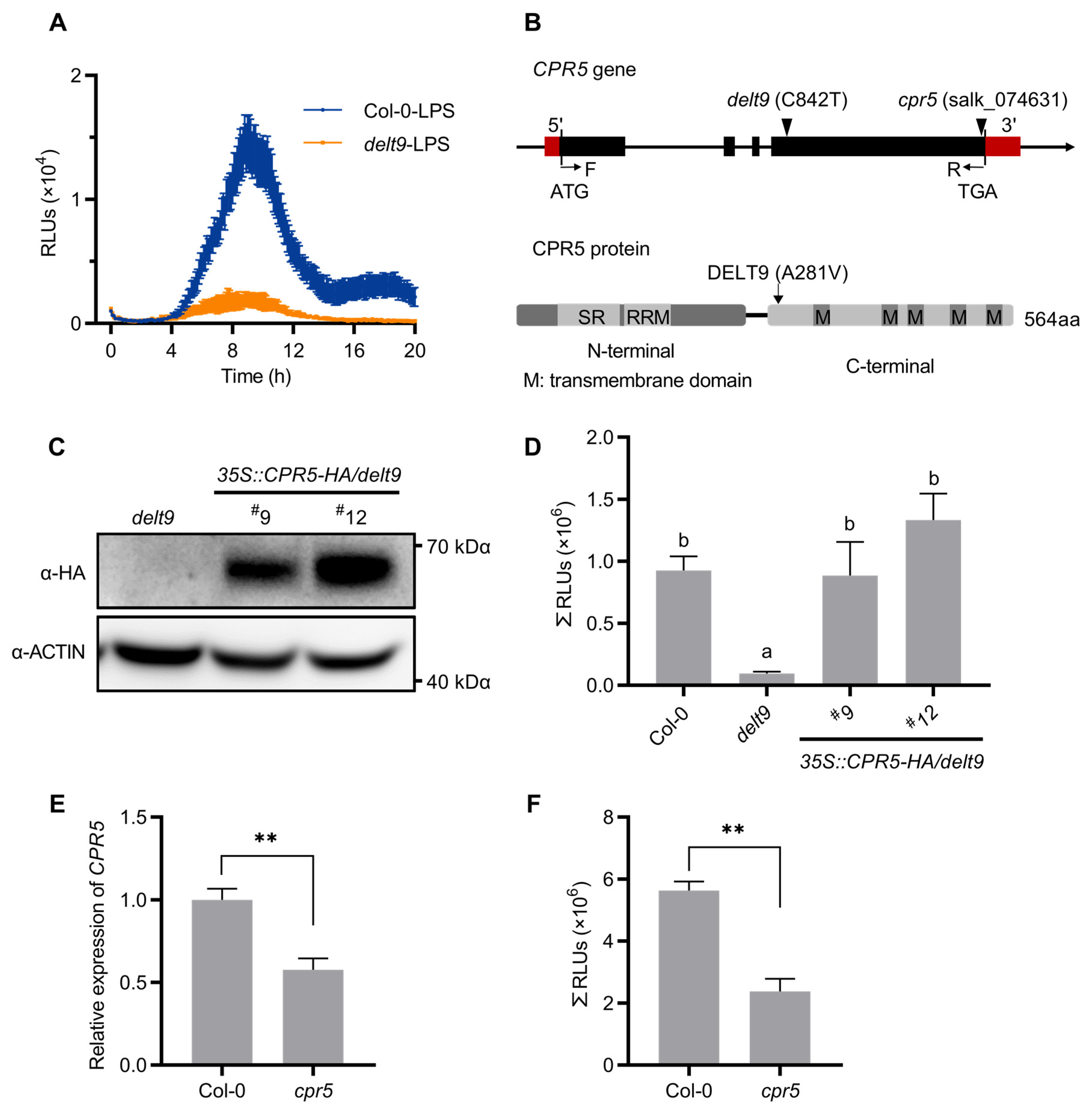 Antioxidants 12 00301 g001