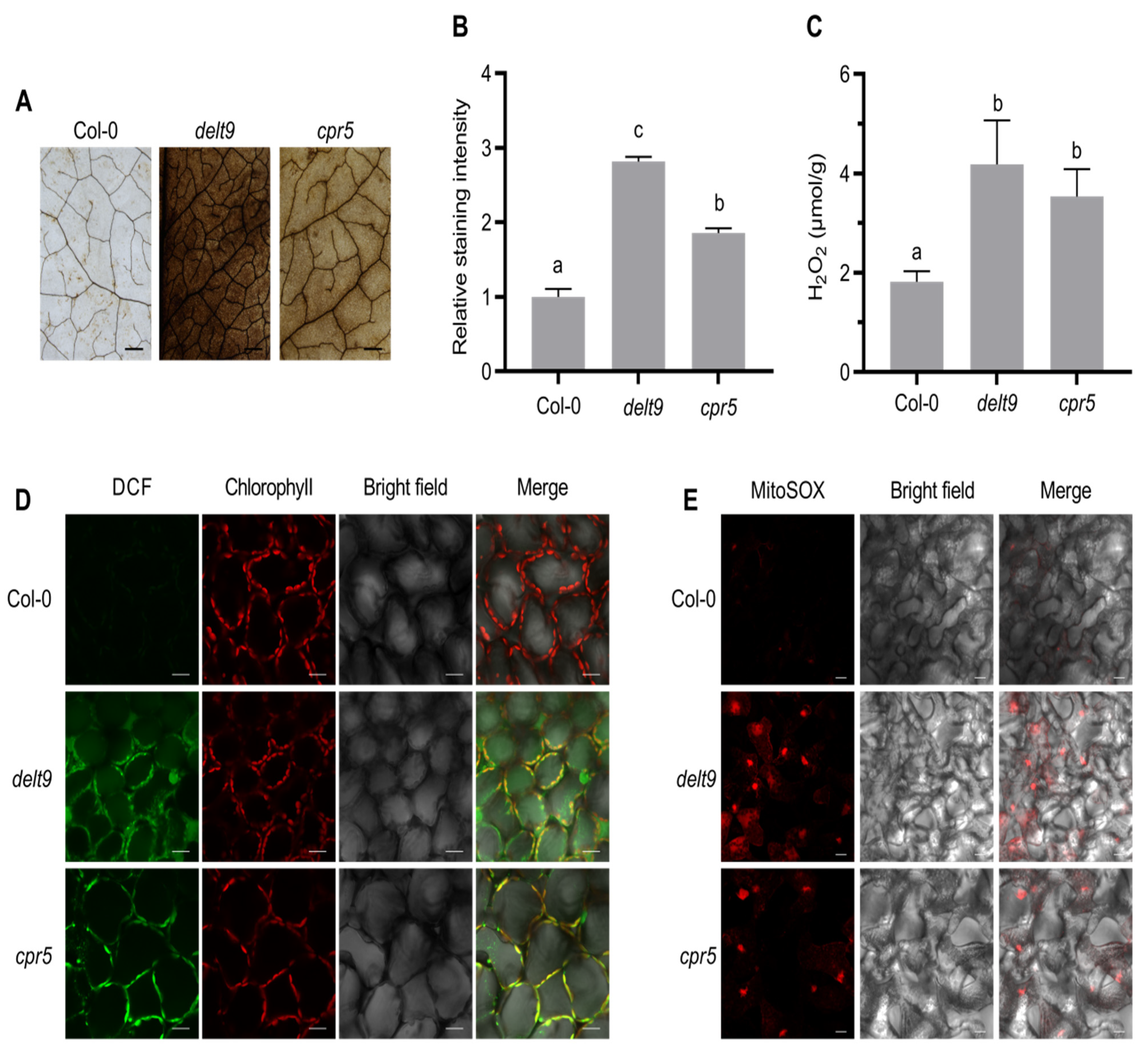 Antioxidants 12 00301 g002