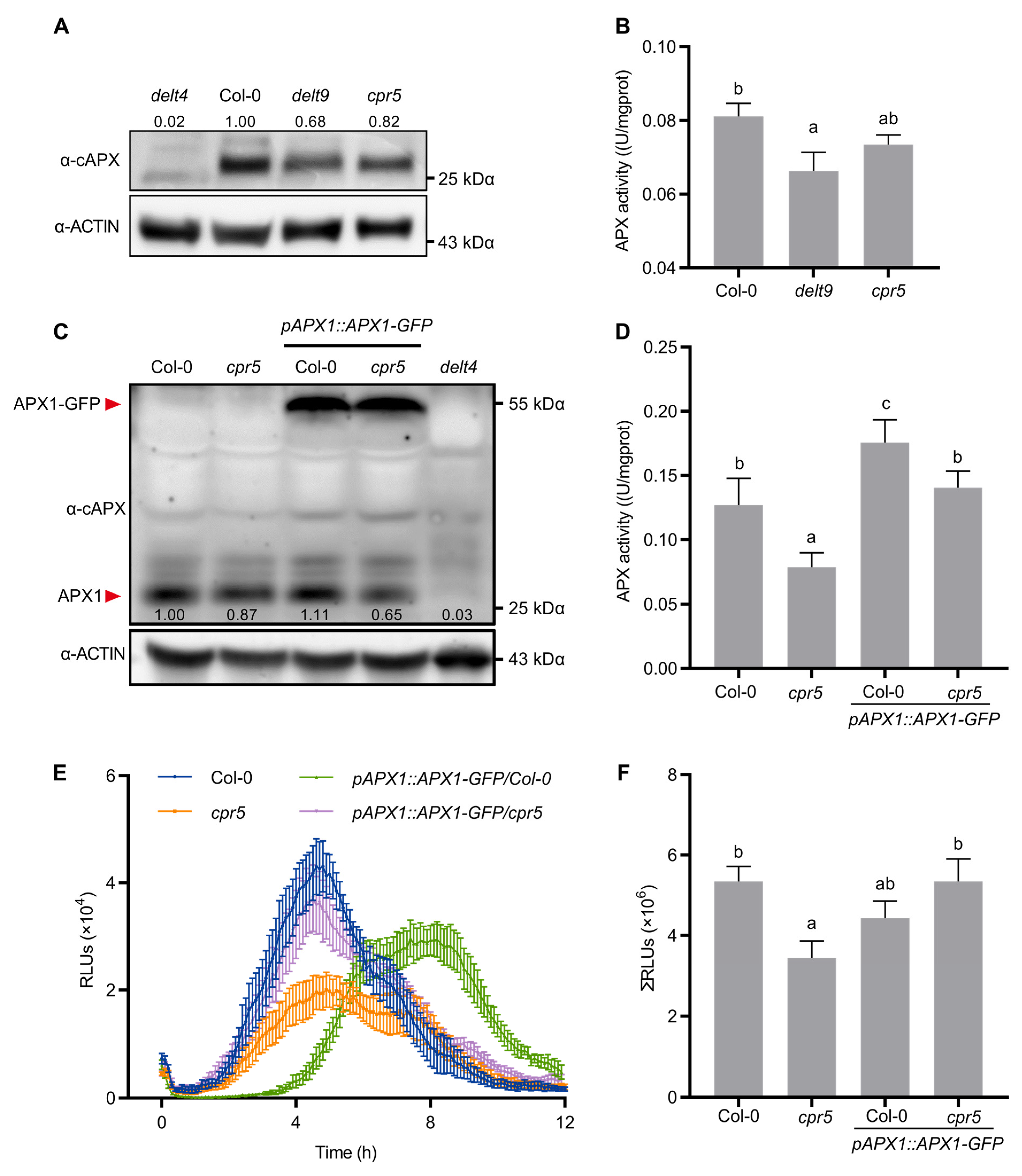 Antioxidants 12 00301 g004