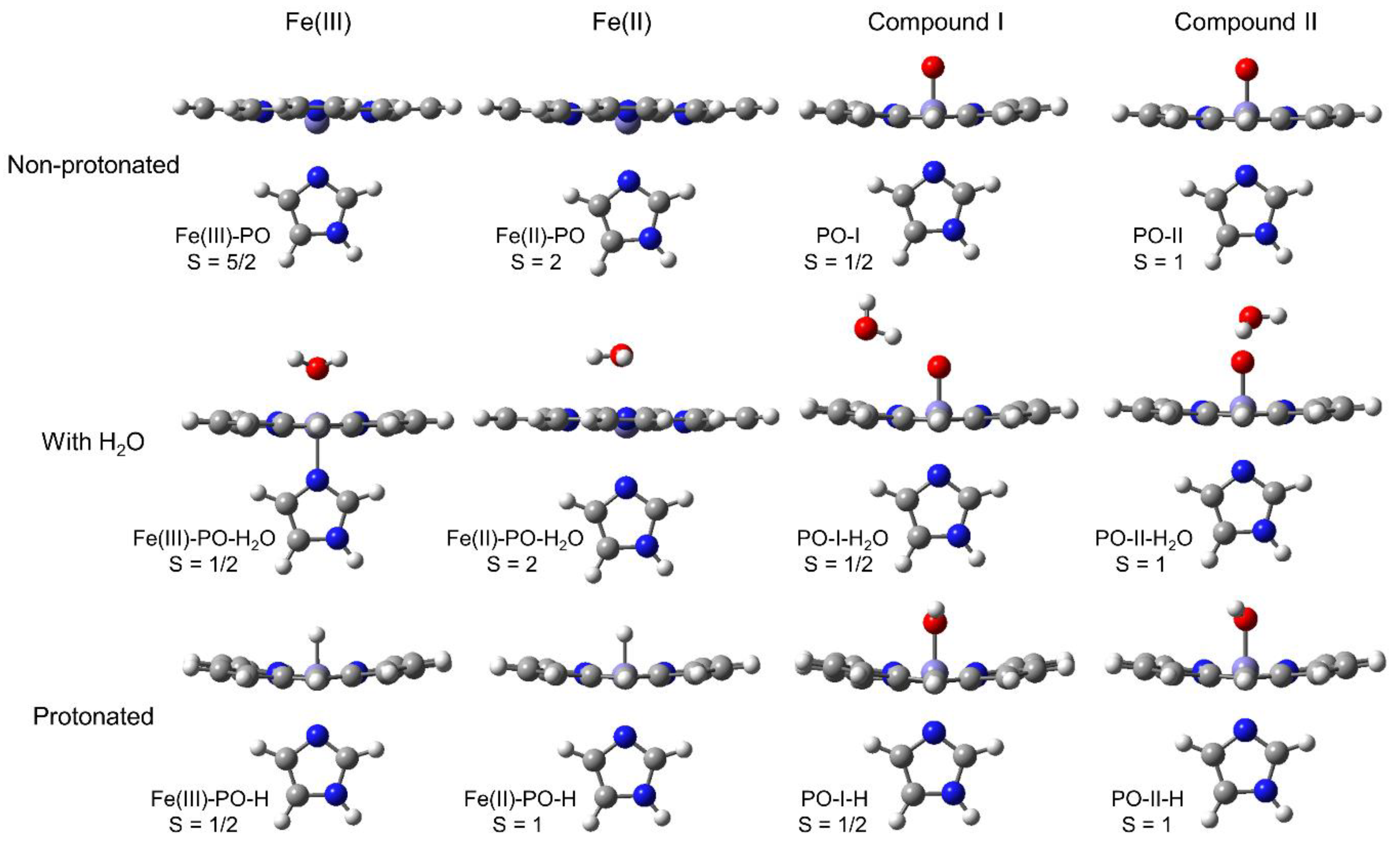 Antioxidants 12 00303 g003 Antioxidants 12 00303 g003