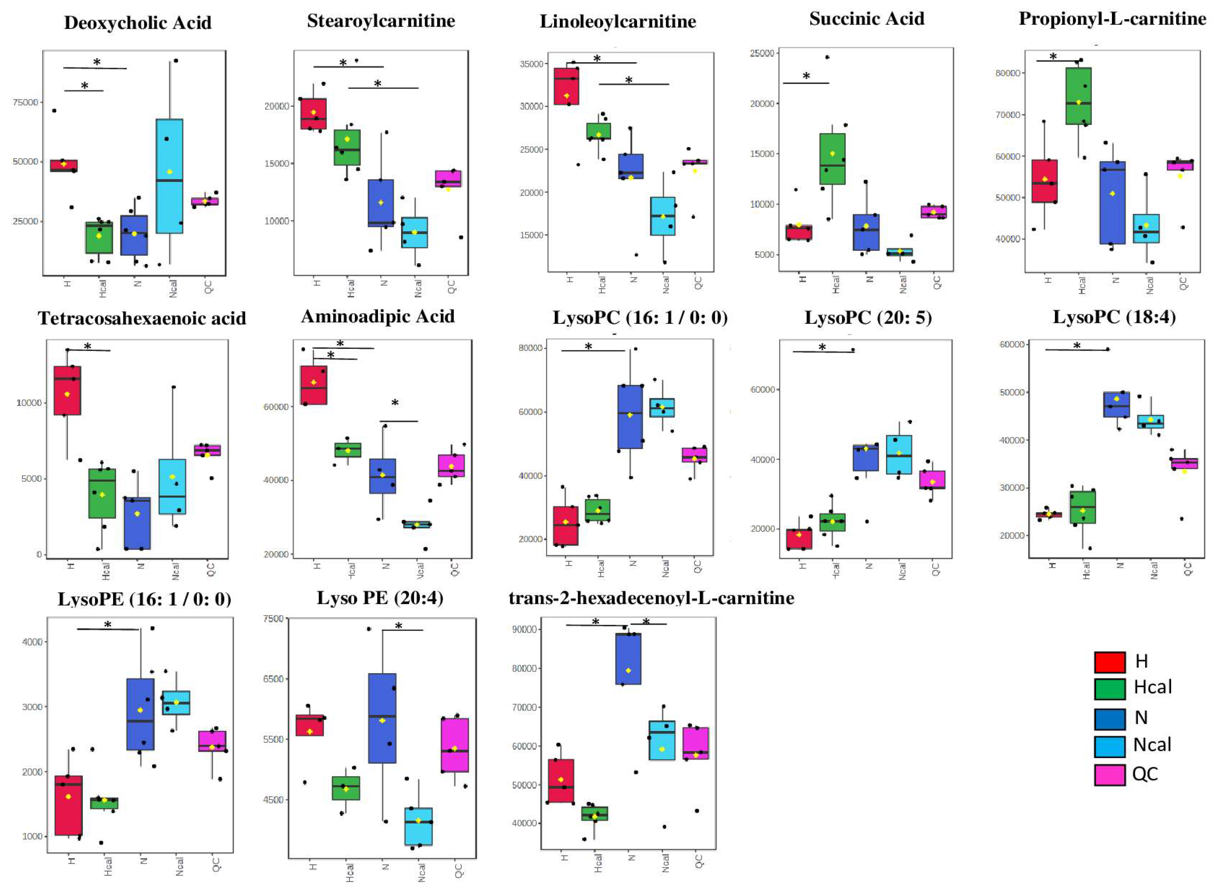 Antioxidants 12 00304 g003