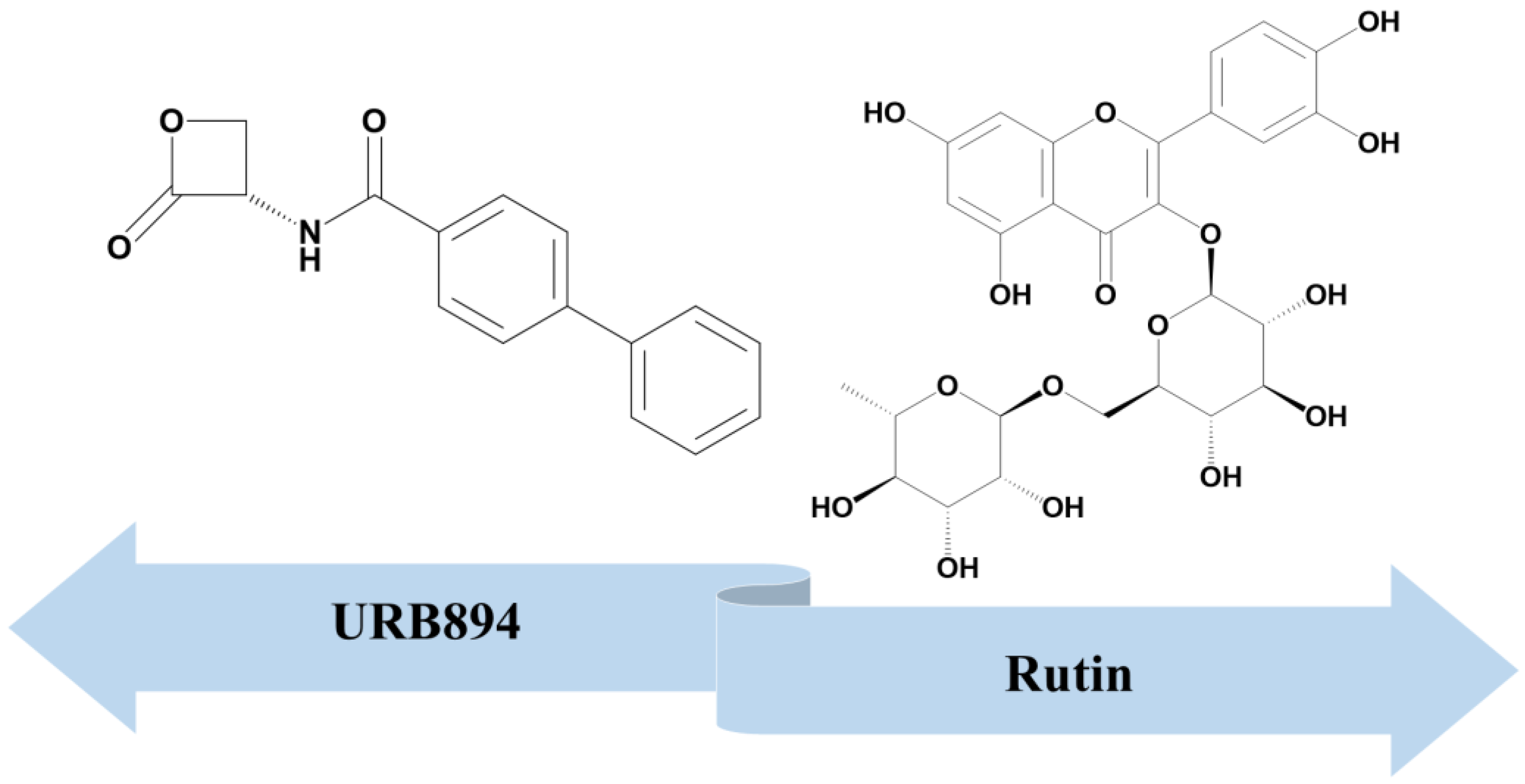 Antioxidants 12 00305 g001