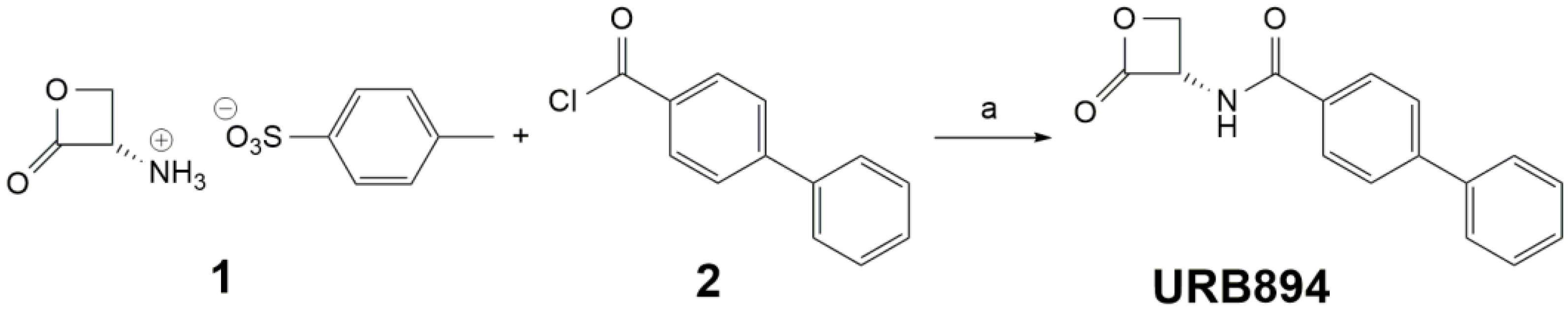 Antioxidants 12 00305 g002