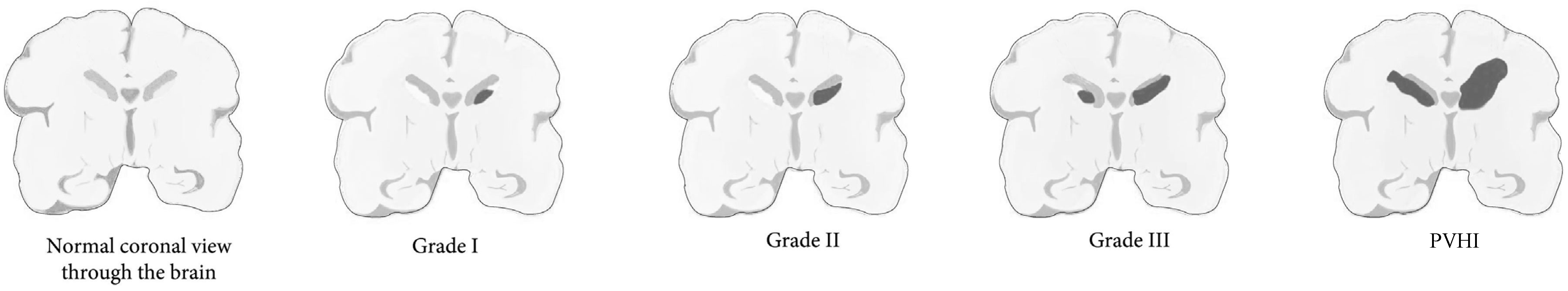 Antioxidants 12 00309 g001