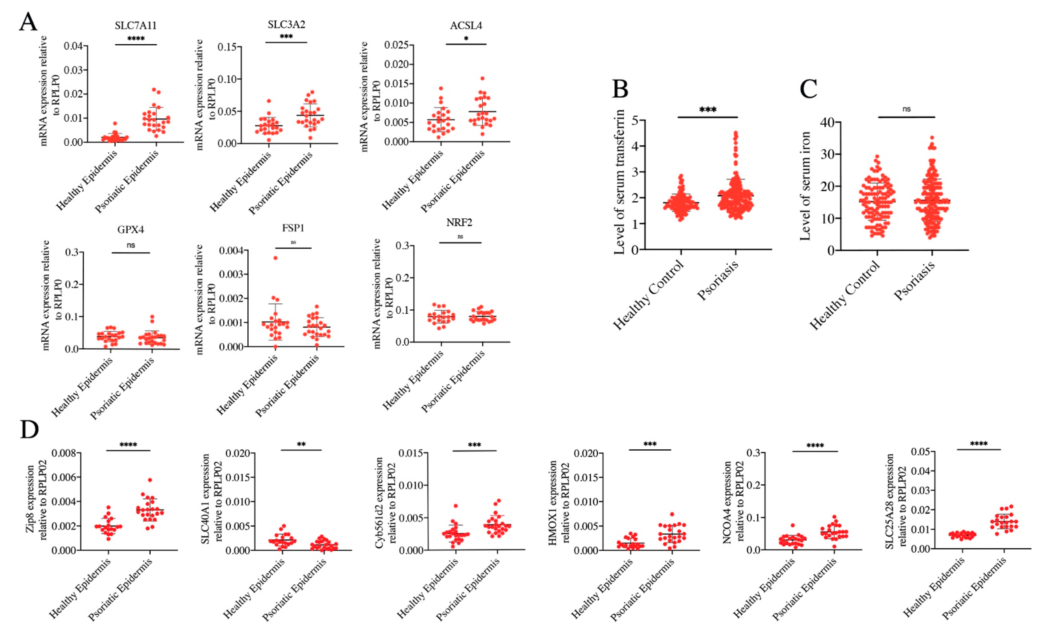 Antioxidants 12 00310 g003