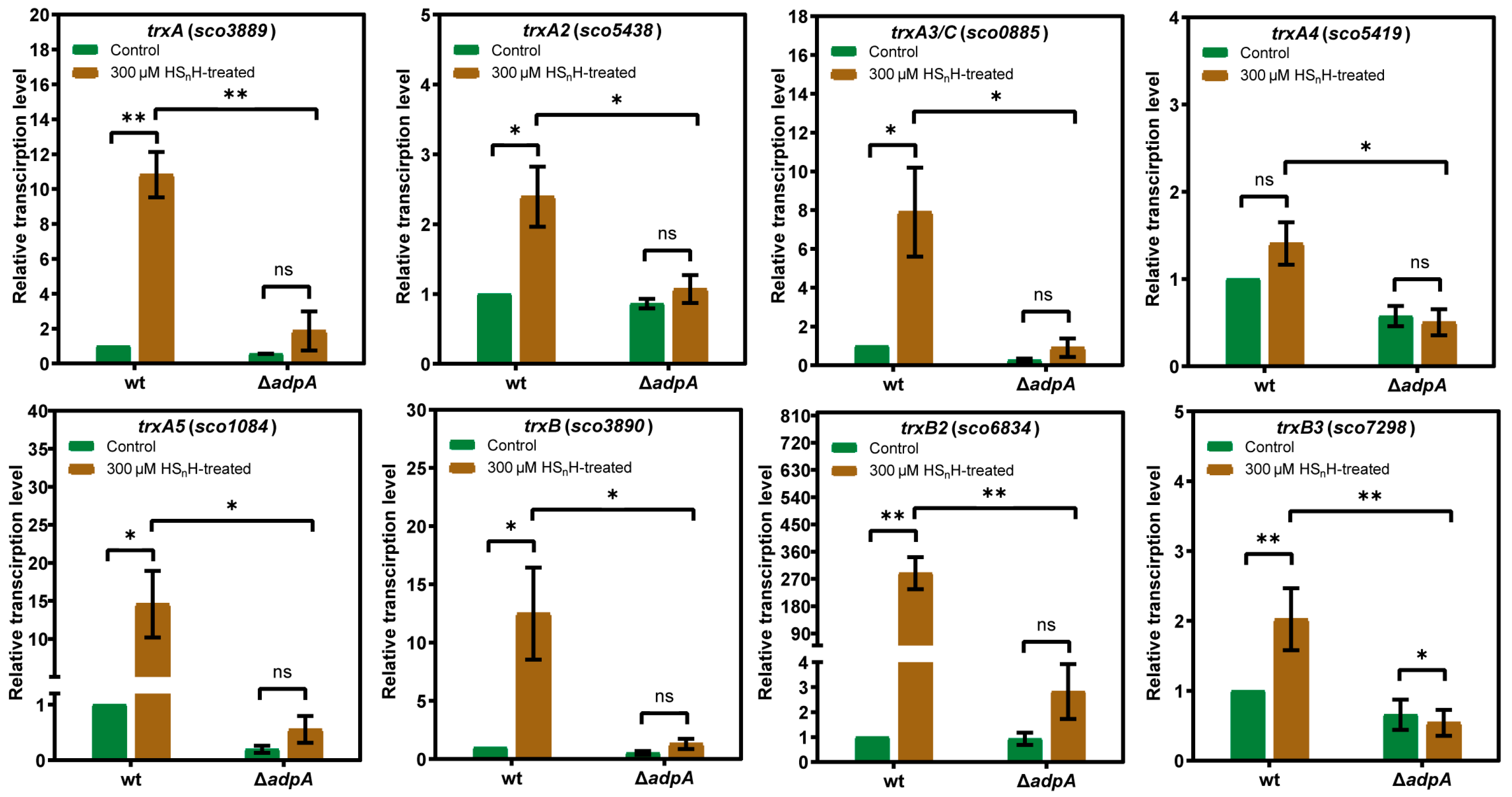 Antioxidants 12 00312 g003