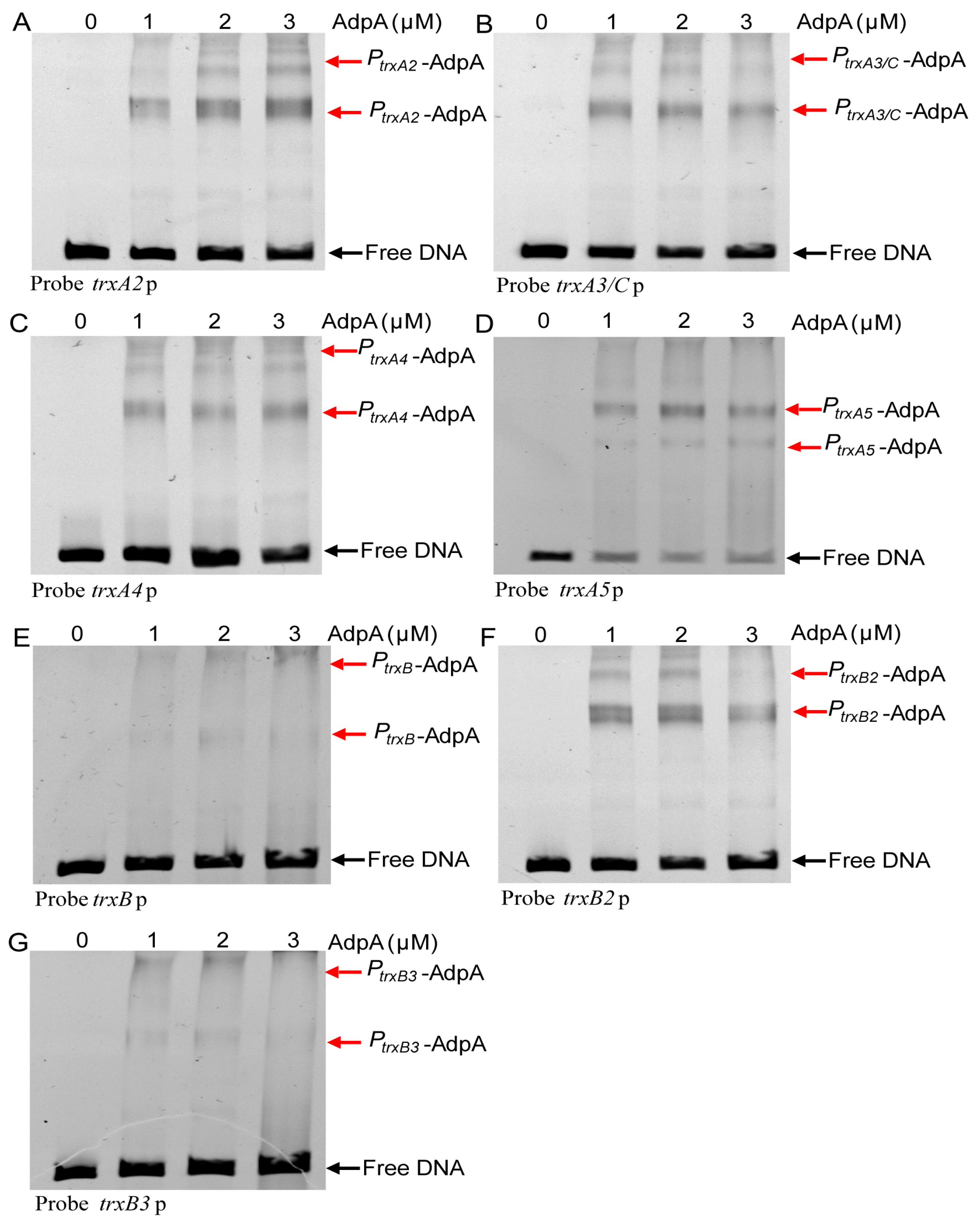 Antioxidants 12 00312 g006