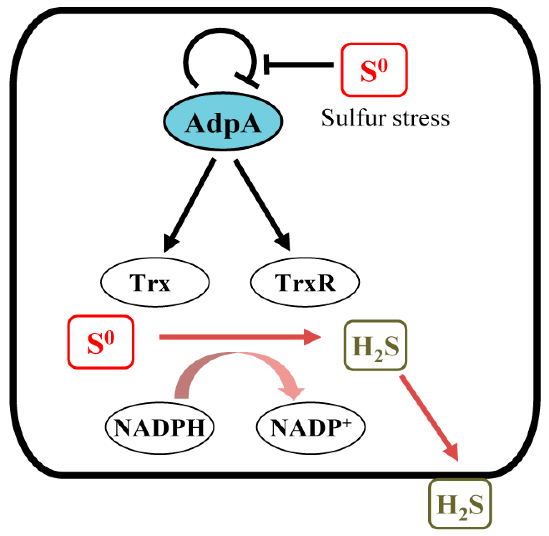 Antioxidants 12 00312 g007