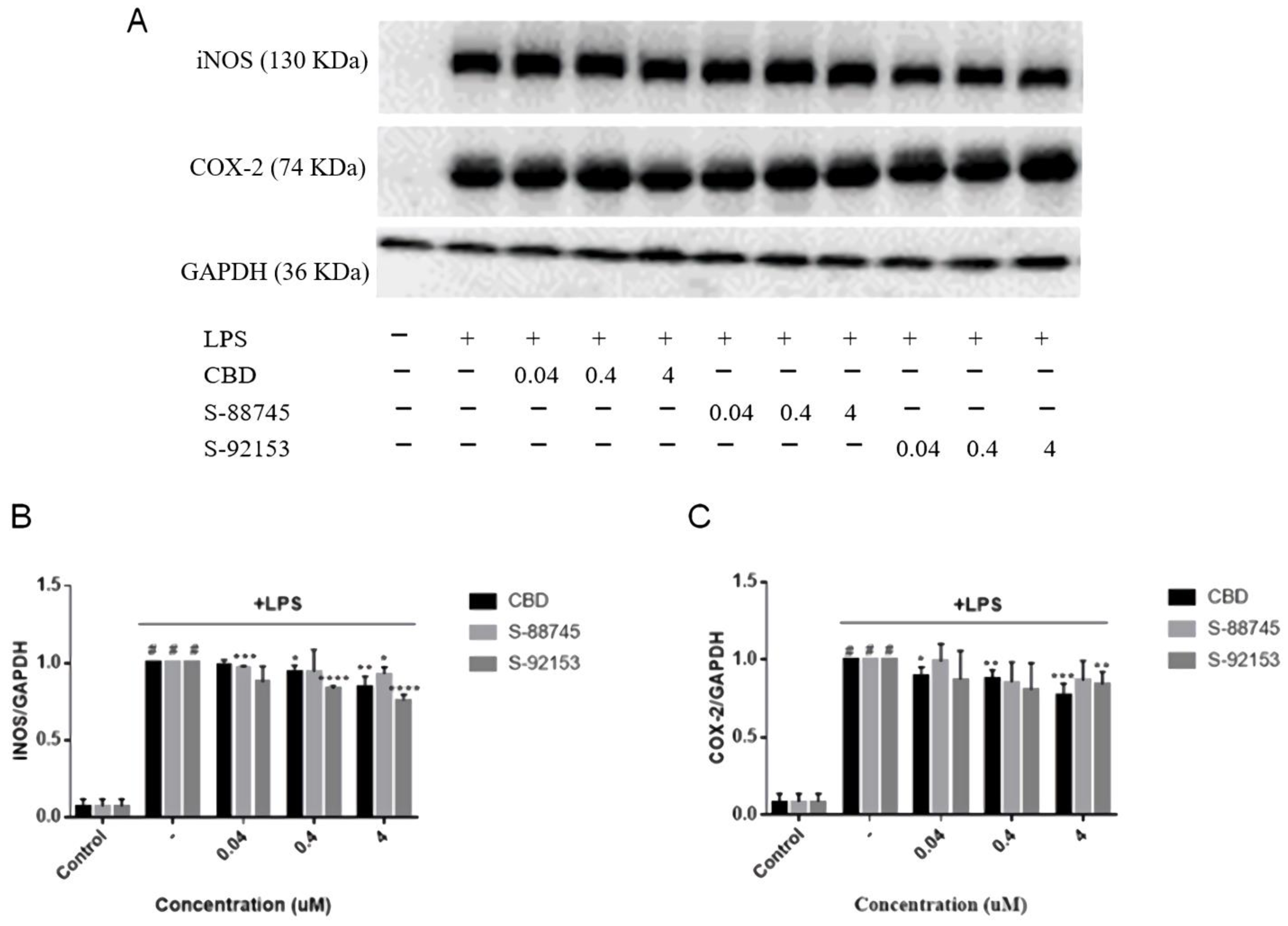 Antioxidants 12 00314 g007