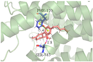 Antioxidants 12 00314 i006 Antioxidants 12 00314 i006