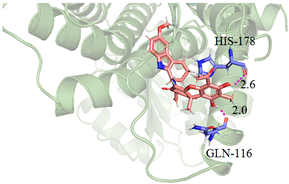 Antioxidants 12 00314 i014 Antioxidants 12 00314 i014