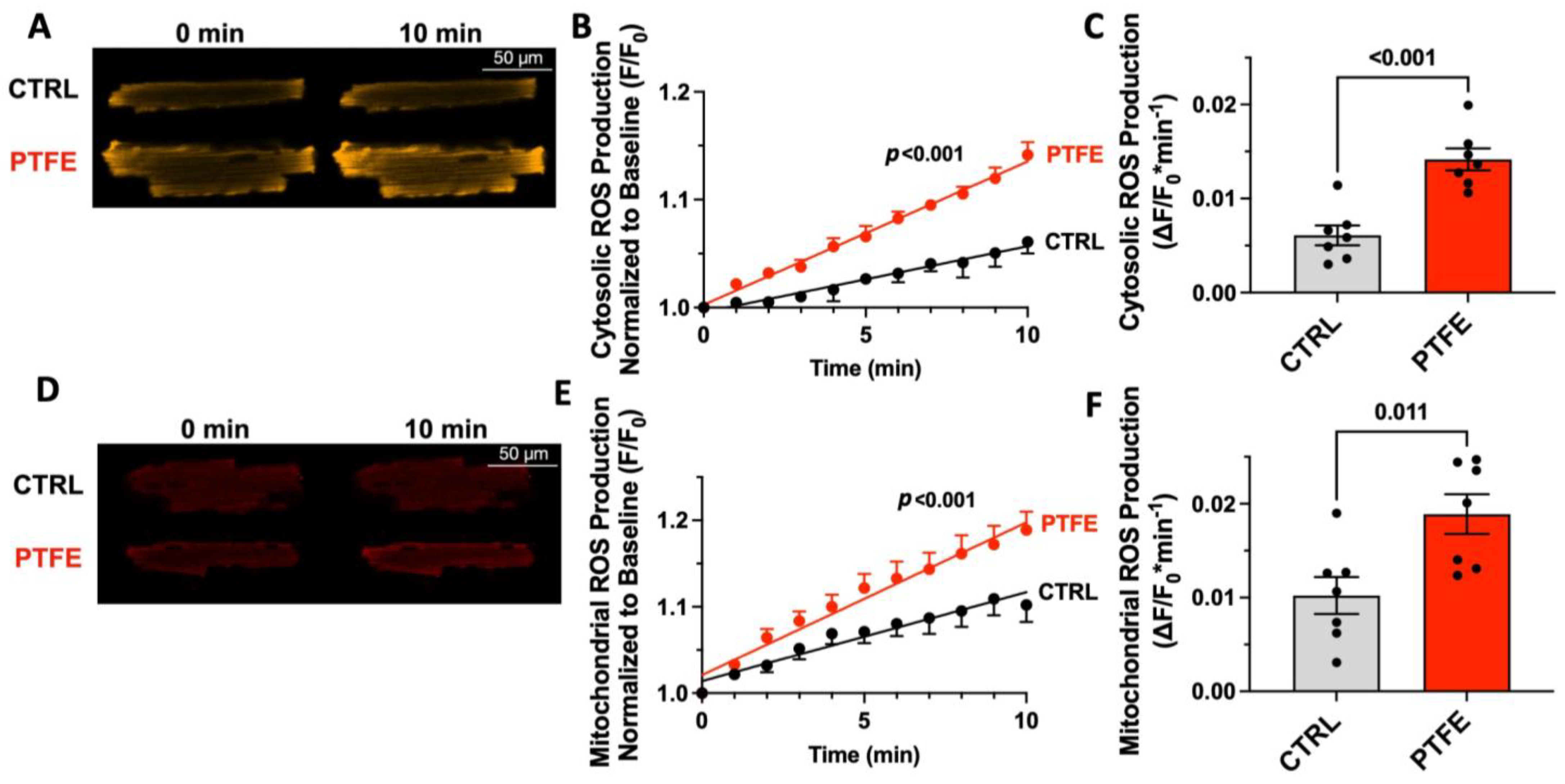 Antioxidants 12 00315 g003 Antioxidants 12 00315 g003