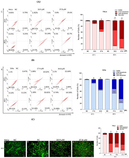 Antioxidants 12 00317 g009a Antioxidants 12 00317 g009a