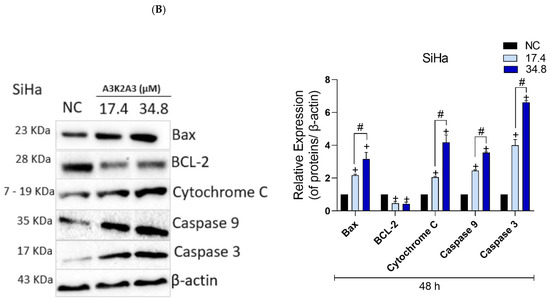 Antioxidants 12 00317 g010b