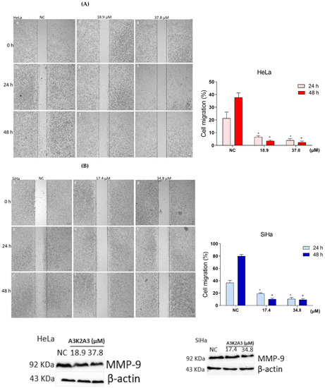 Antioxidants 12 00317 g012a Antioxidants 12 00317 g012a