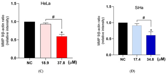 Antioxidants 12 00317 g012b