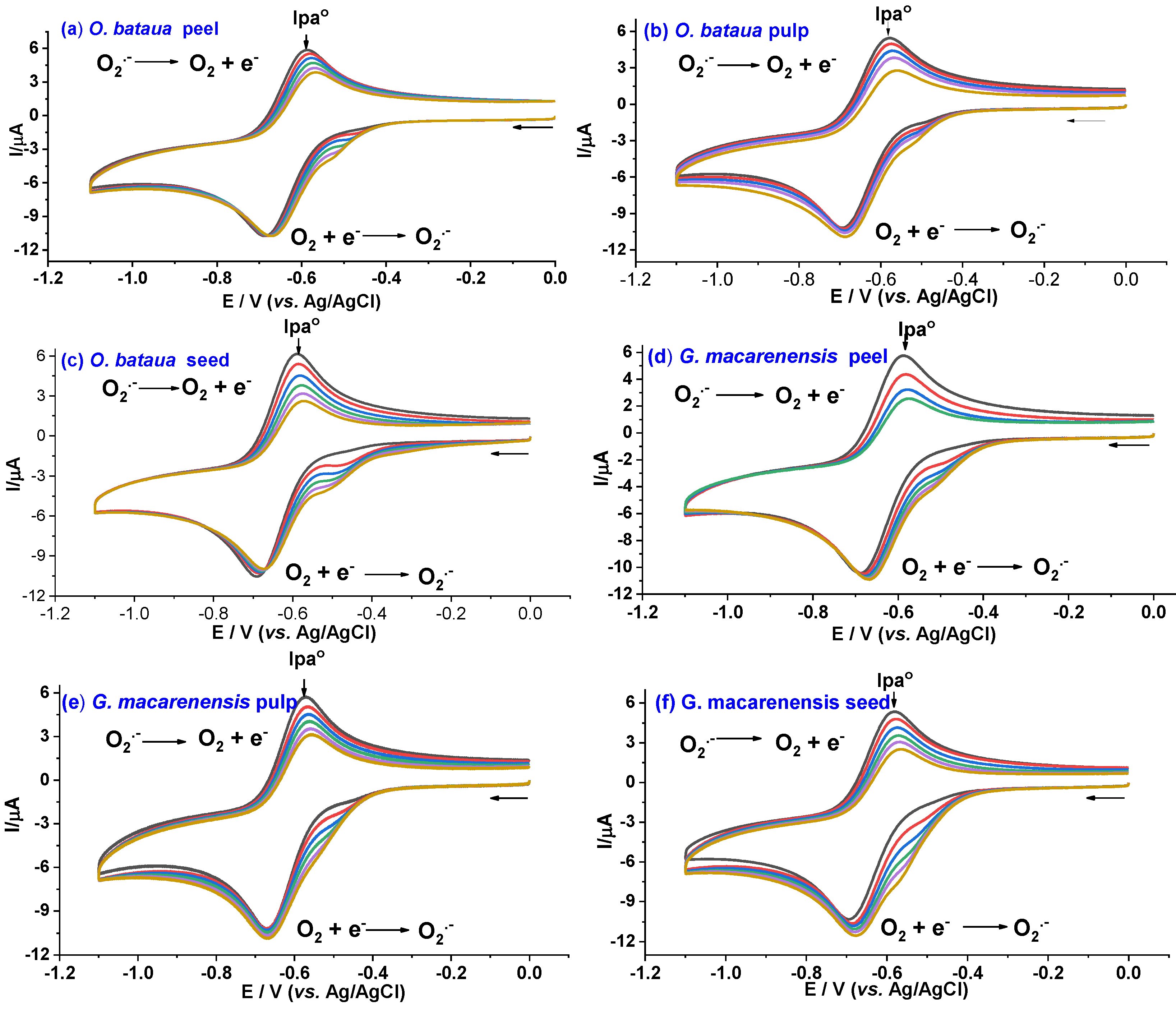 Antioxidants 12 00318 g001