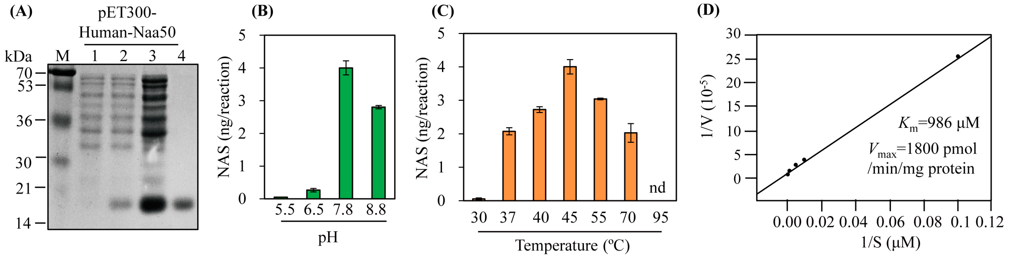 Antioxidants 12 00319 g003