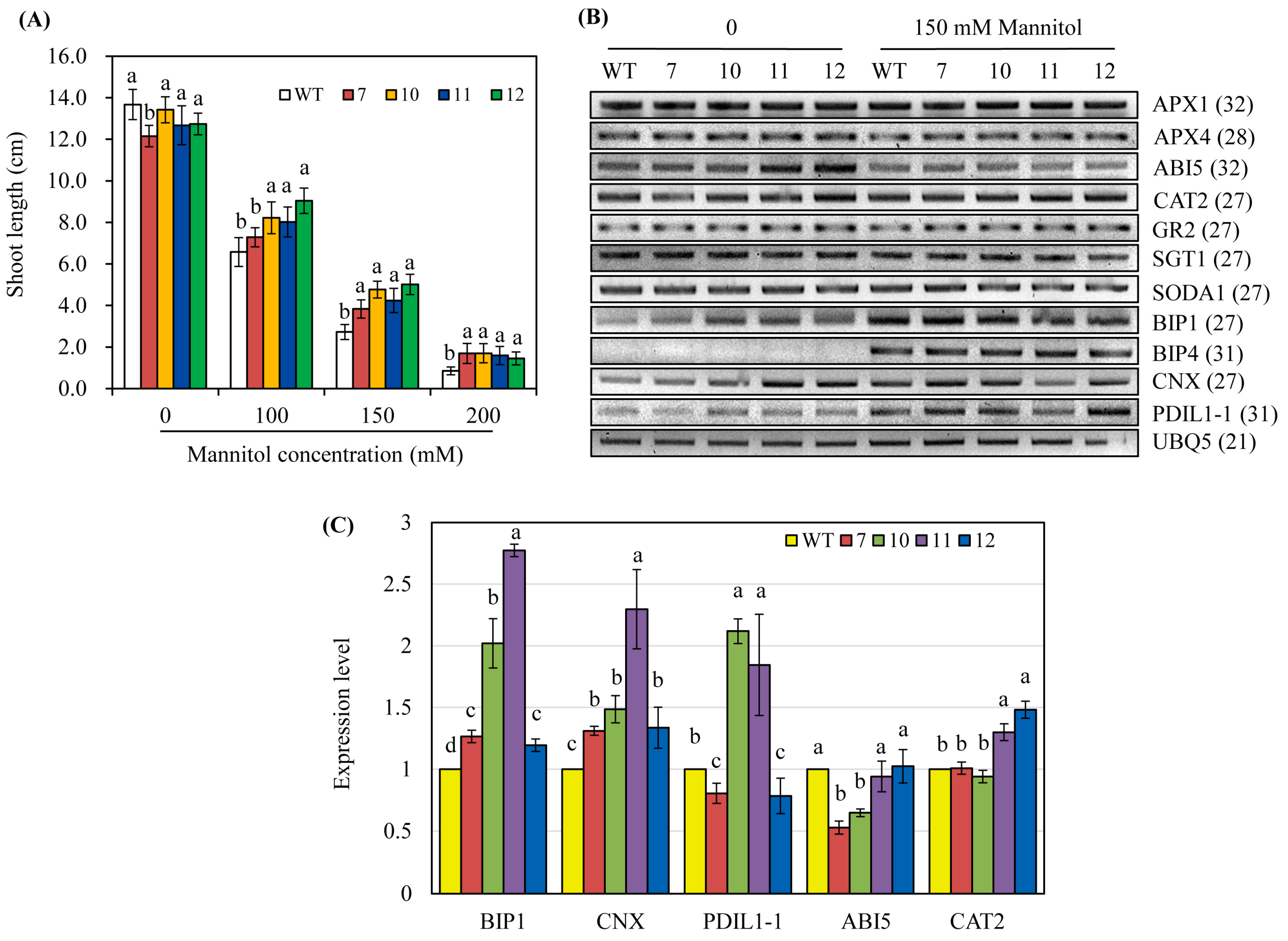Antioxidants 12 00319 g006