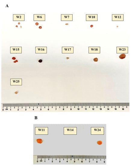 Antioxidants 12 00320 g0a1a