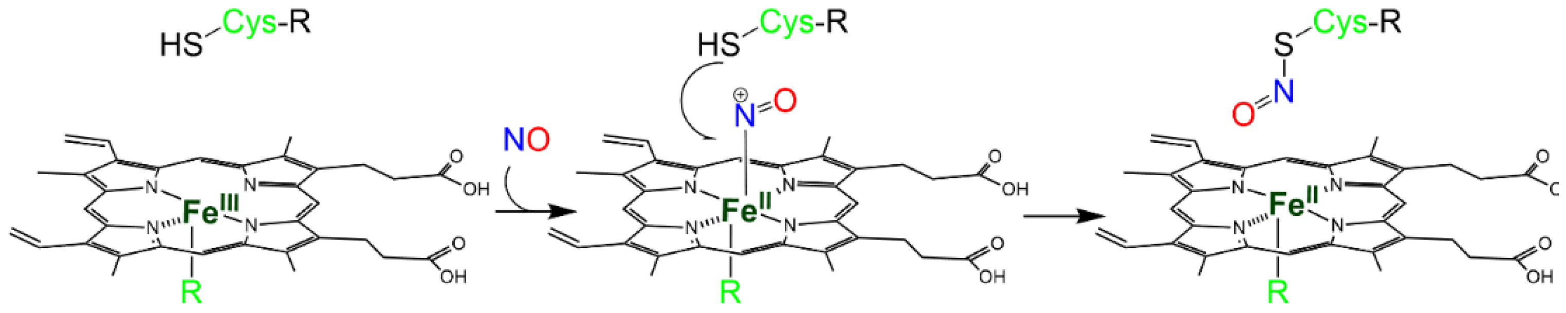 Antioxidants 12 00321 sch003