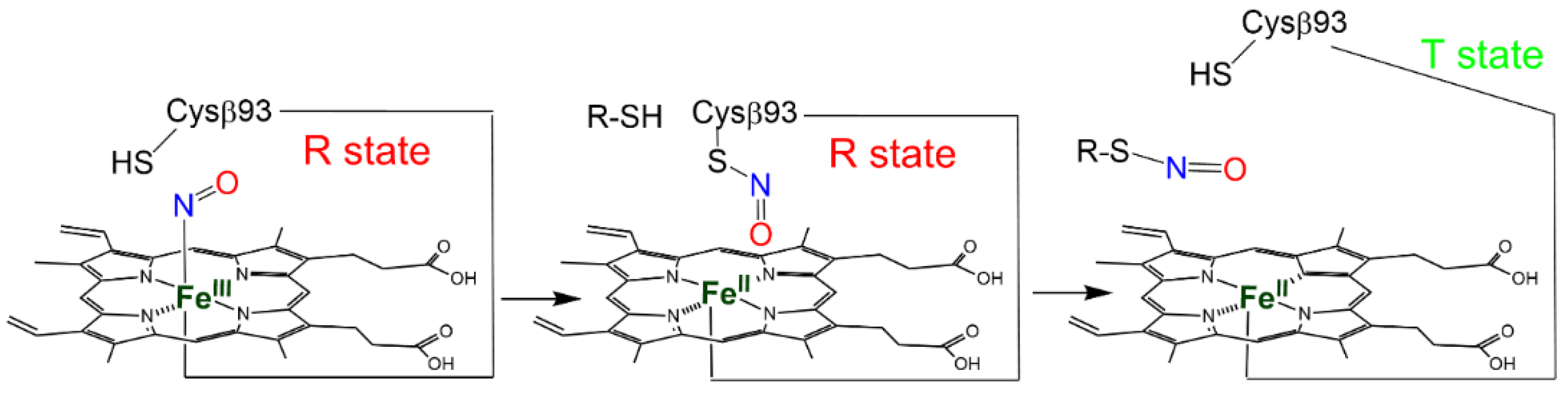 Antioxidants 12 00321 sch004
