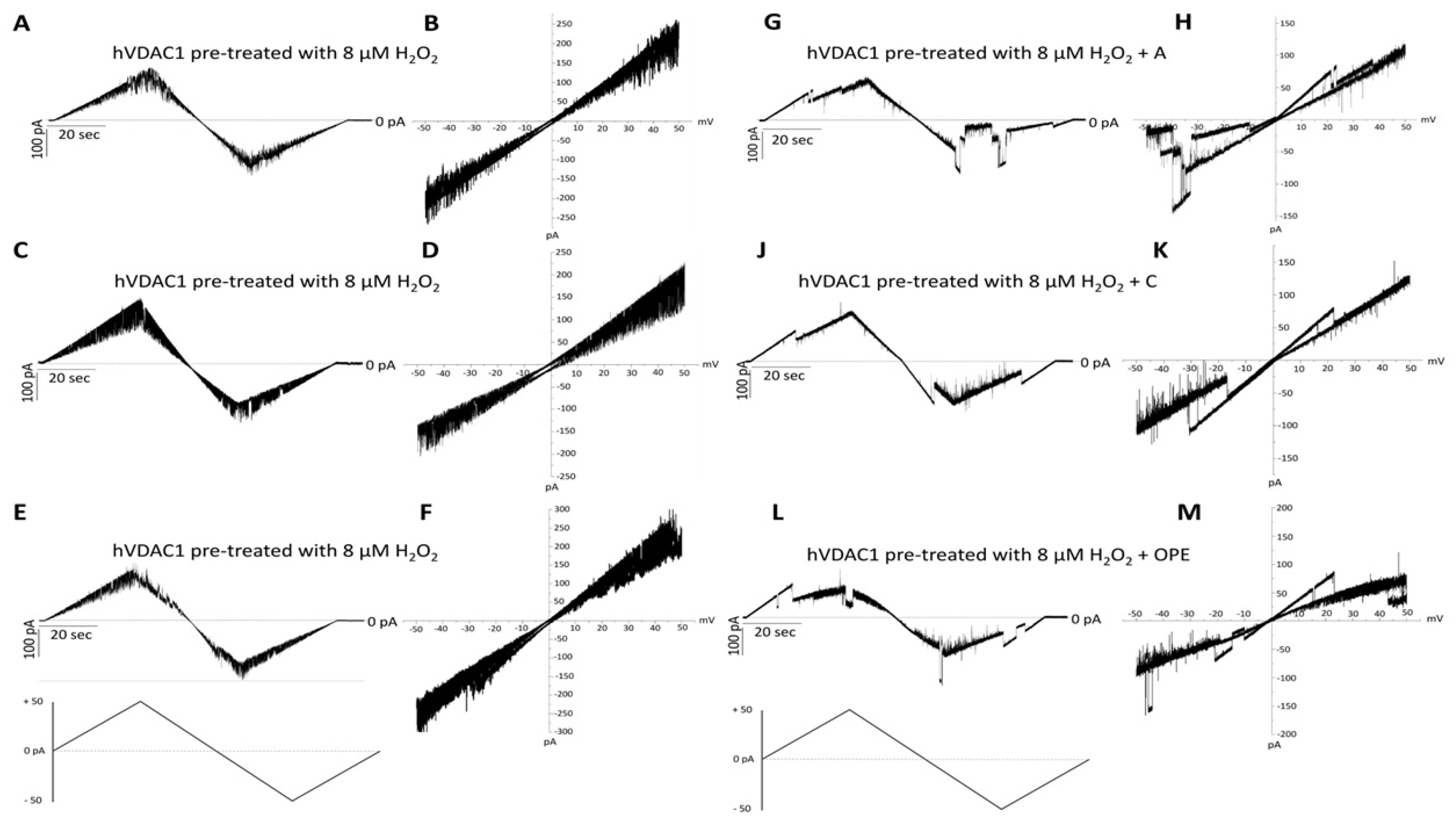 Antioxidants 12 00322 g003
