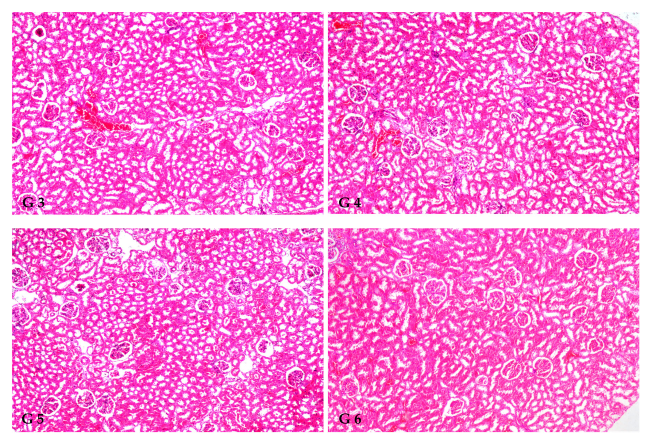 Antioxidants 12 00325 g001b