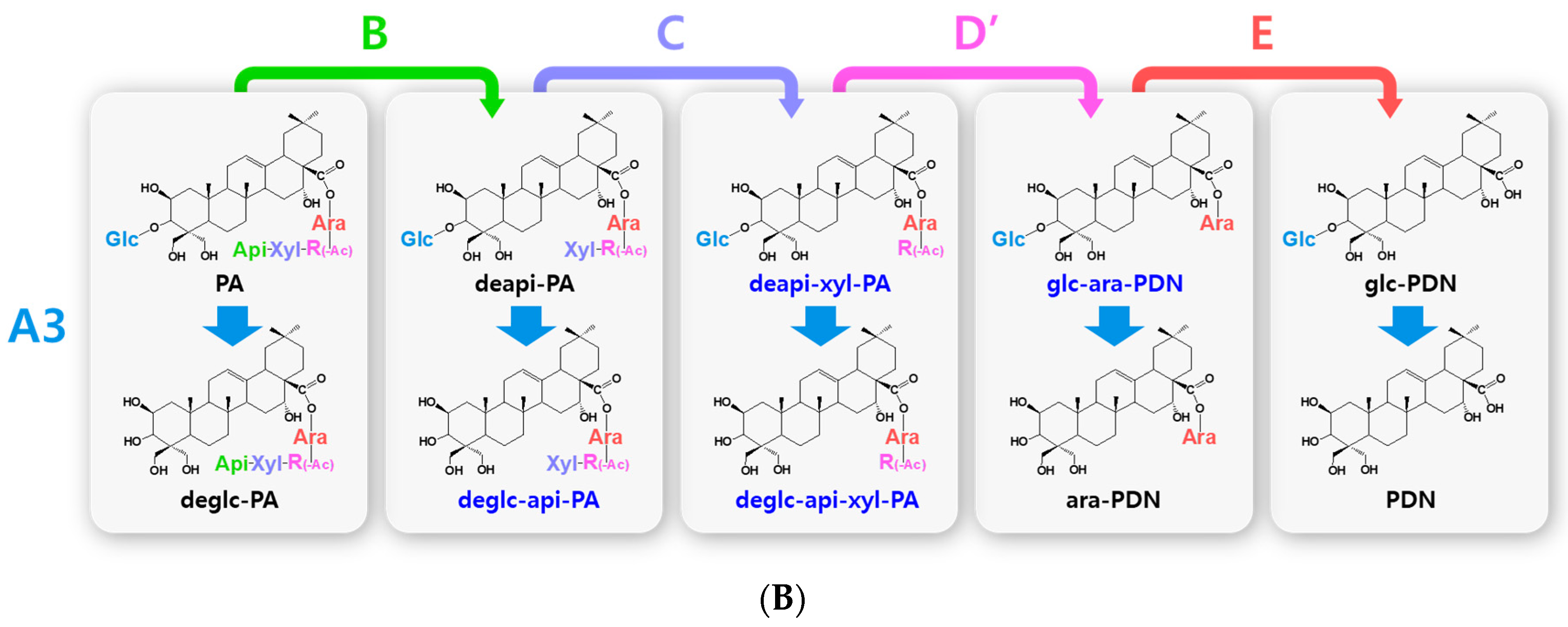 Antioxidants 12 00327 g002b