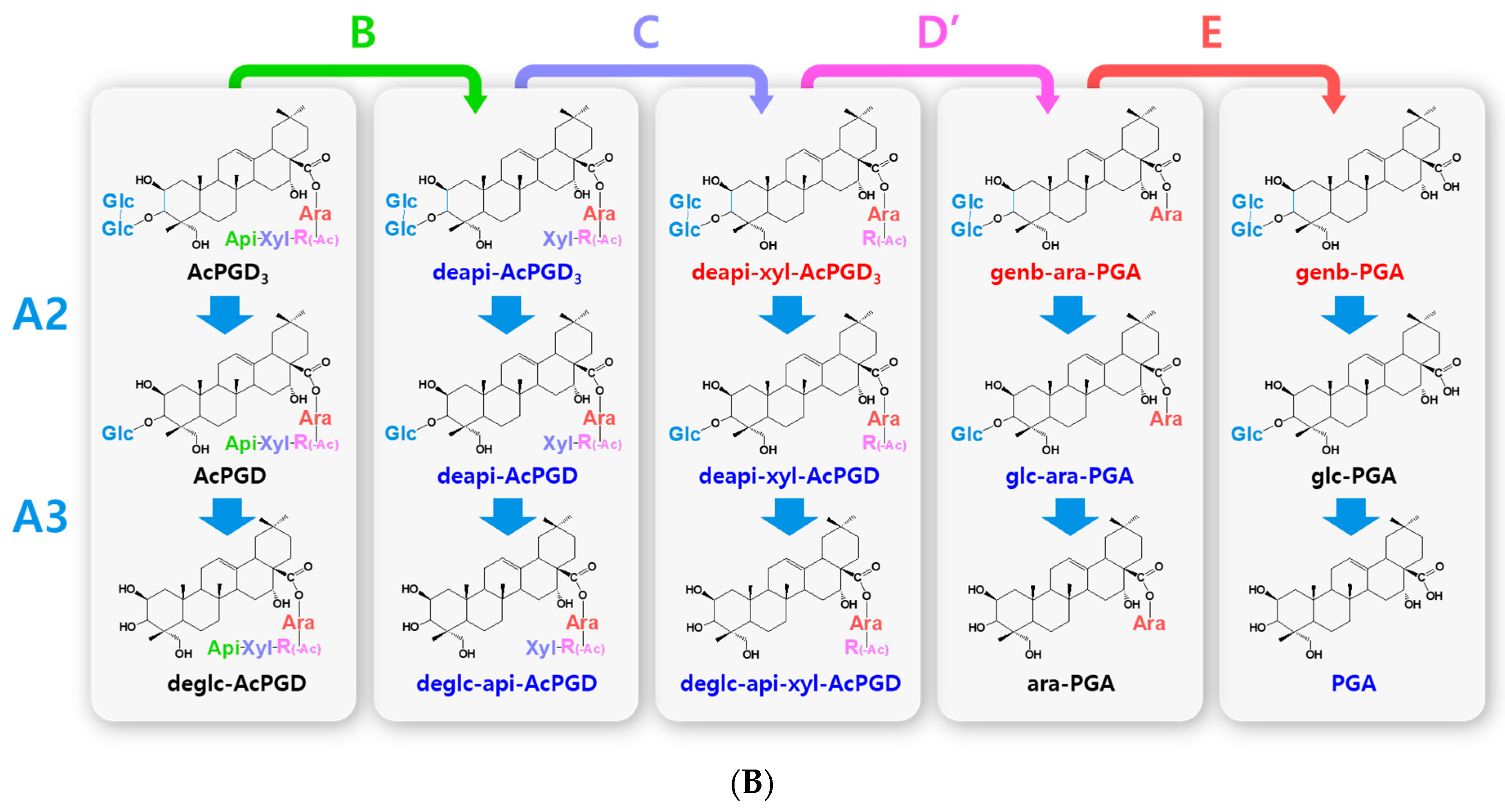 Antioxidants 12 00327 g003b