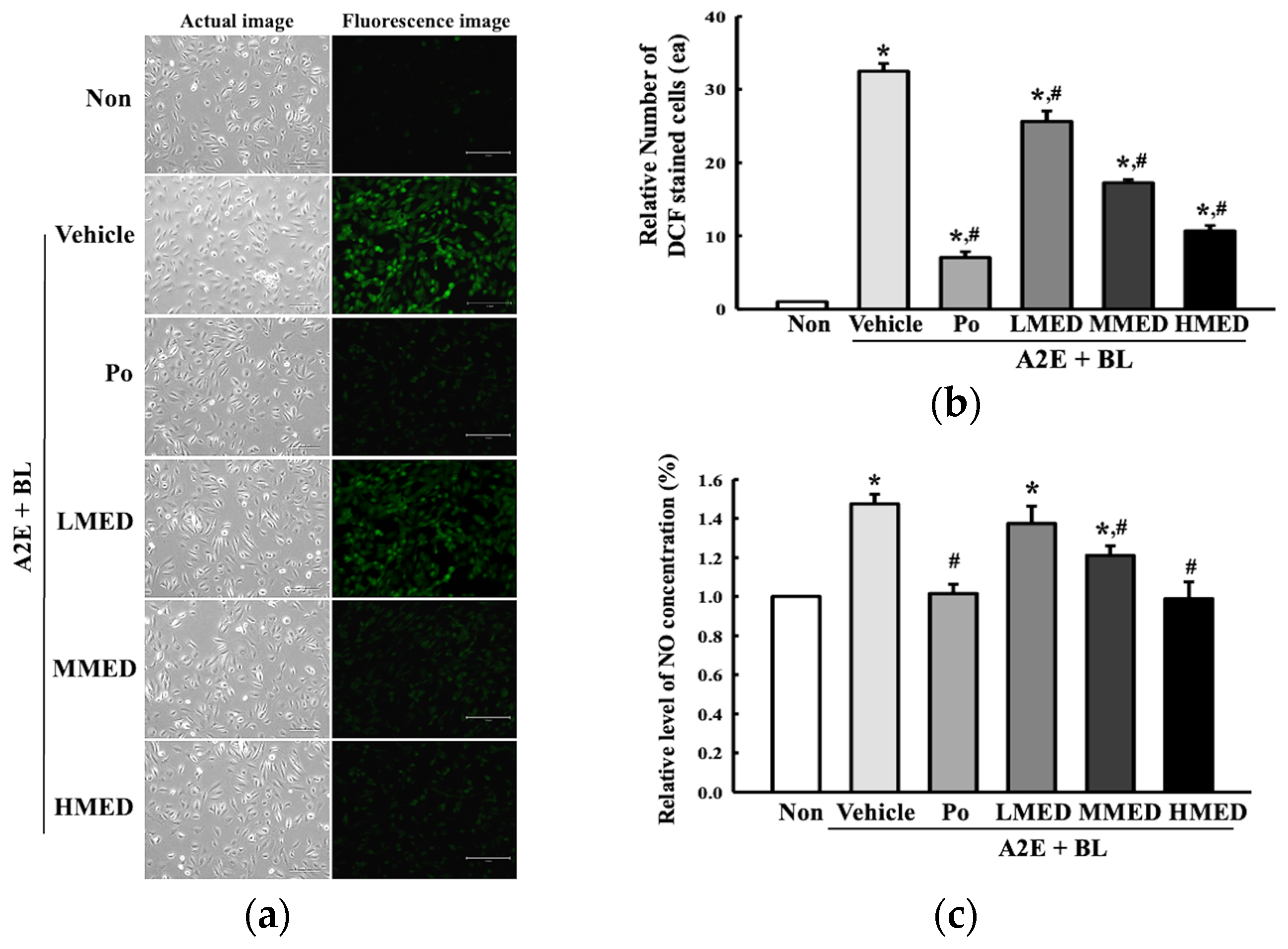 Antioxidants 12 00329 g002