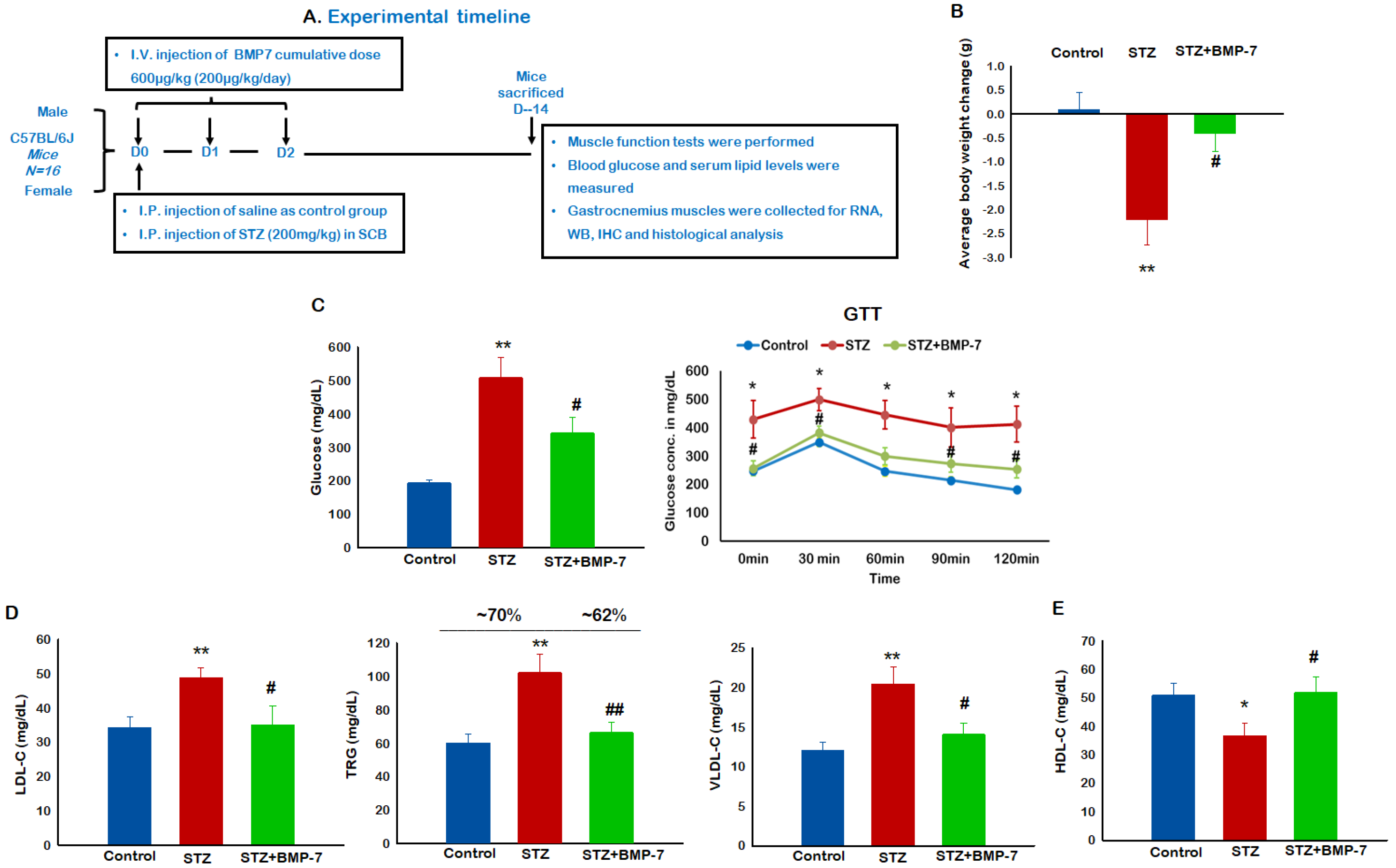 Antioxidants 12 00331 g001
