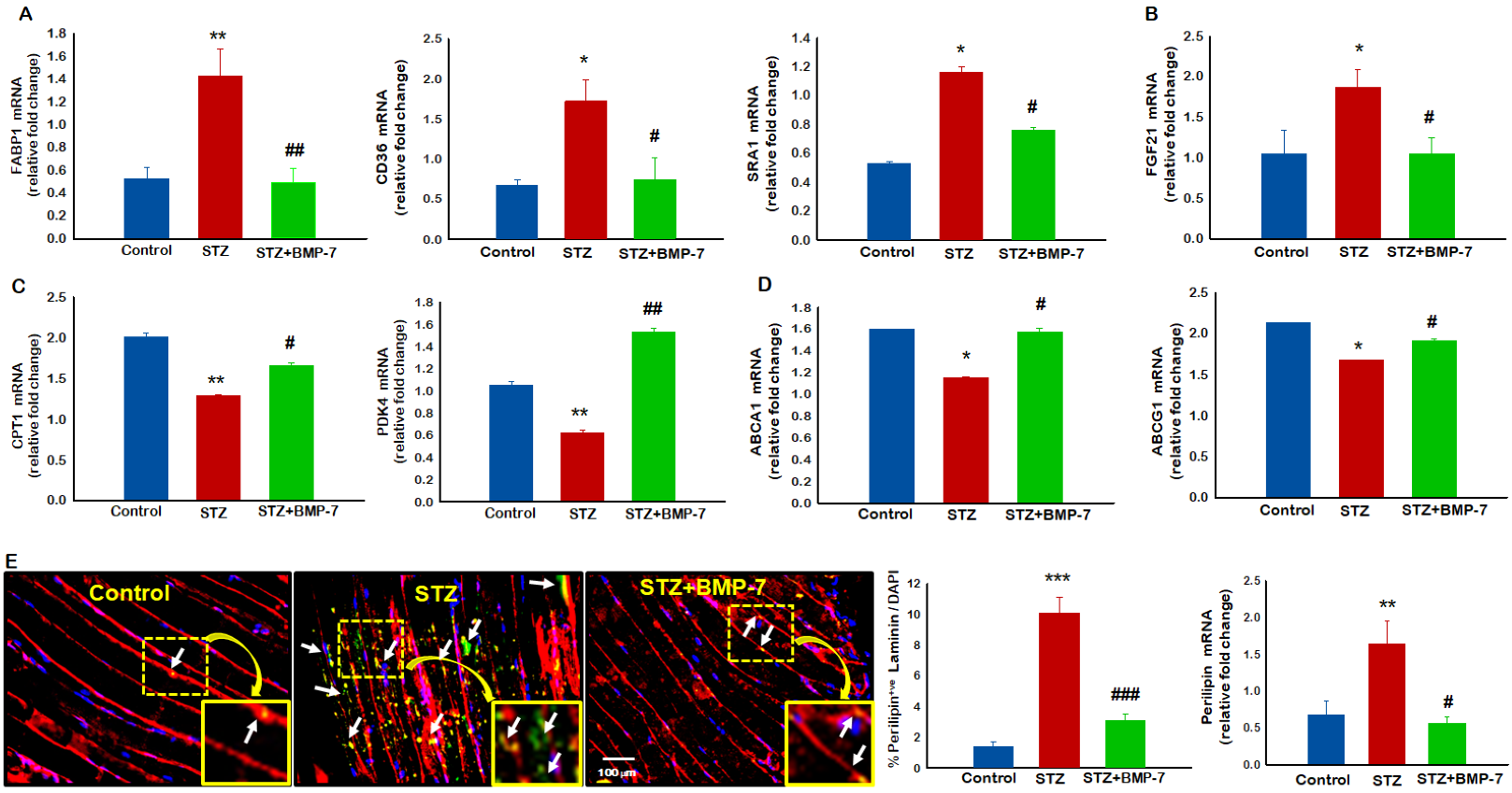 Antioxidants 12 00331 g002