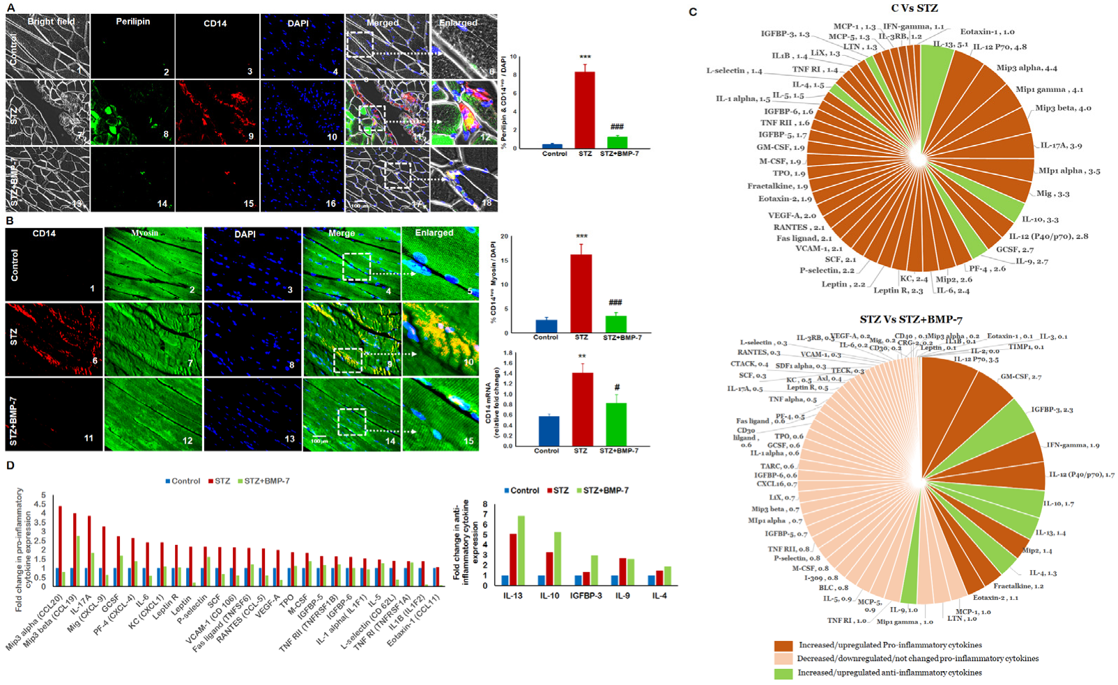 Antioxidants 12 00331 g003