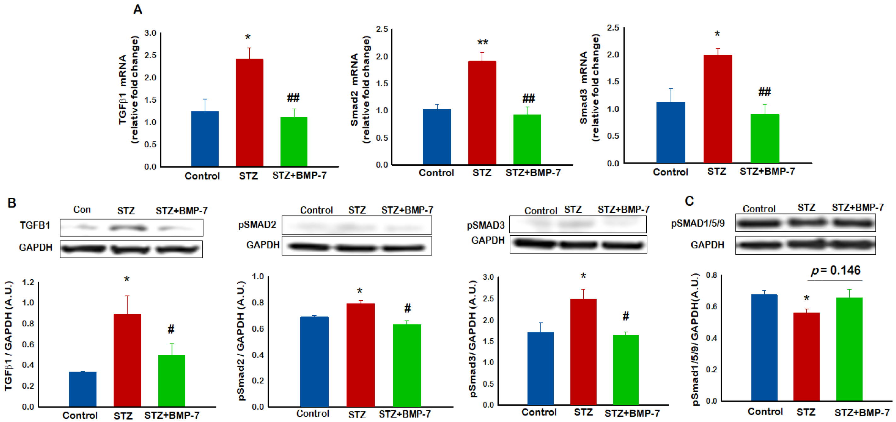 Antioxidants 12 00331 g006