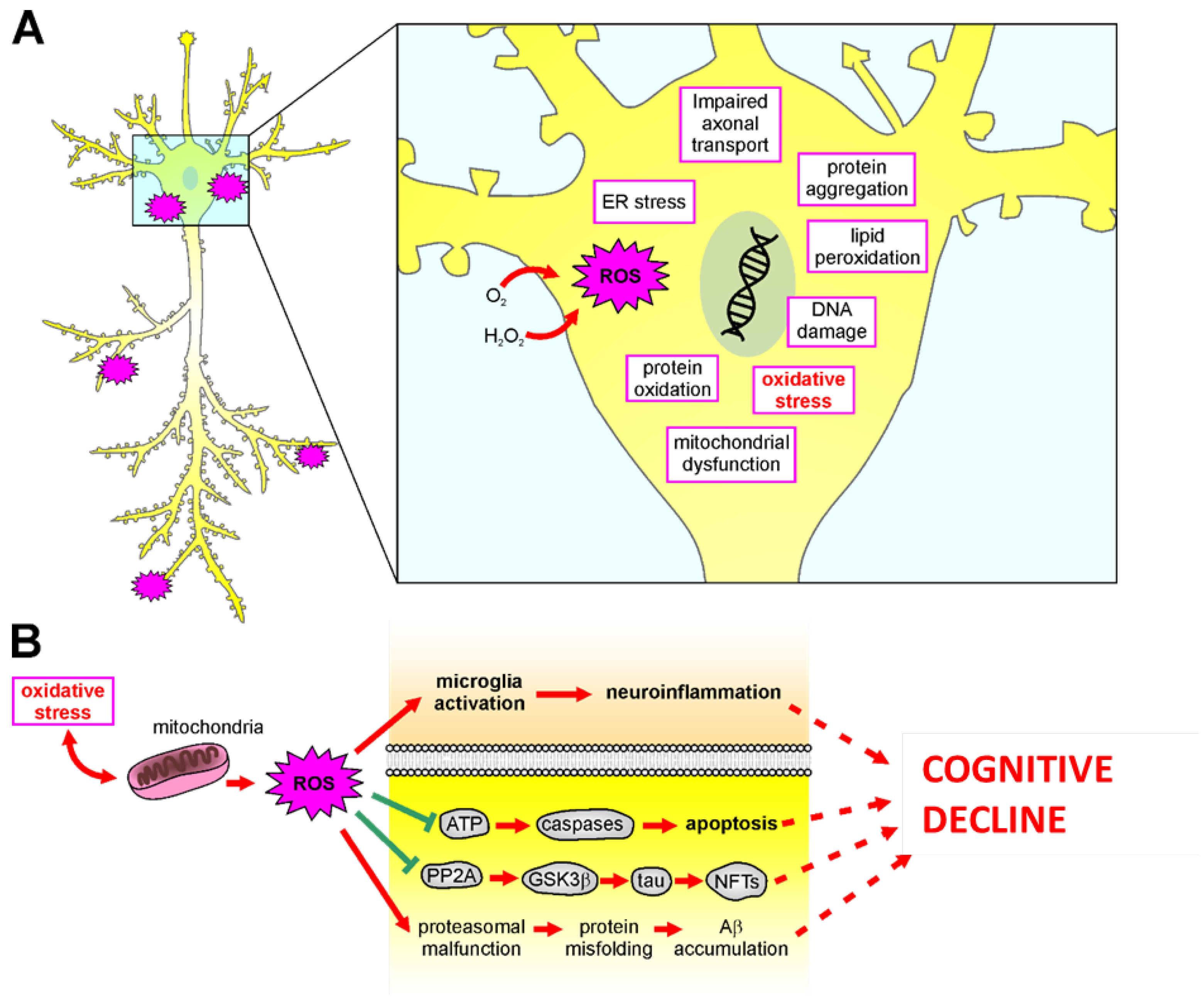 Antioxidants 12 00332 g003