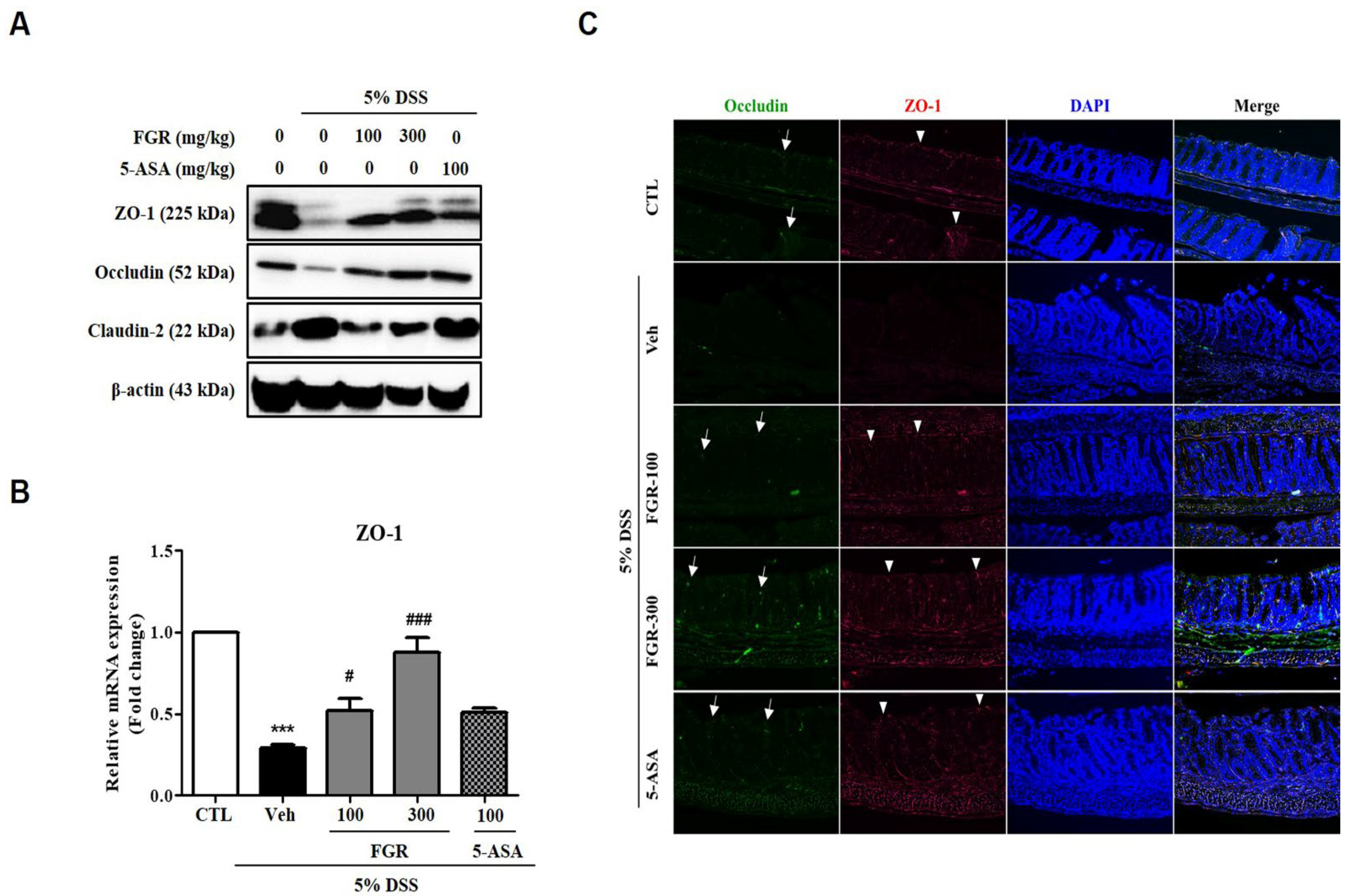Antioxidants 12 00336 g004