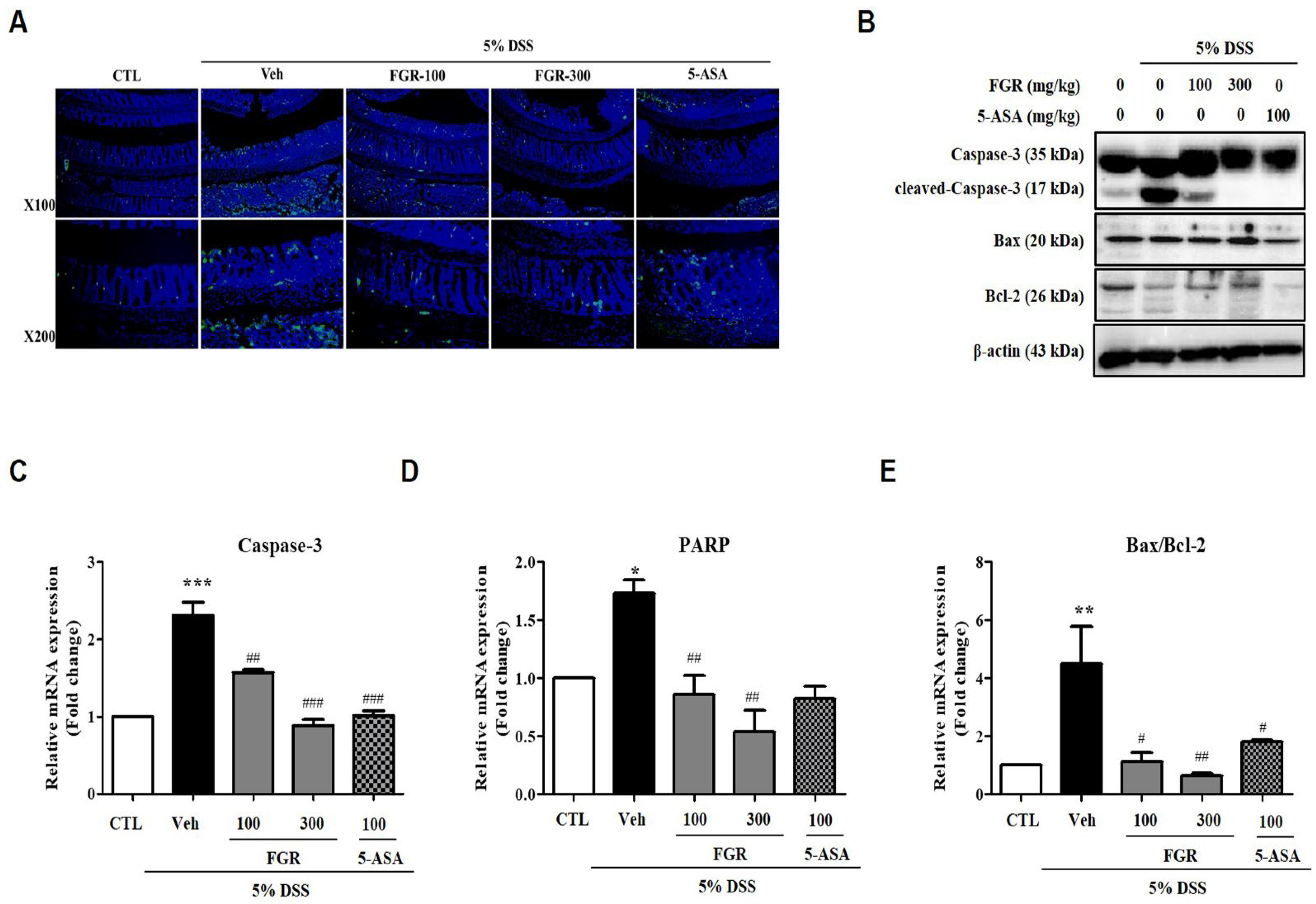 Antioxidants 12 00336 g007