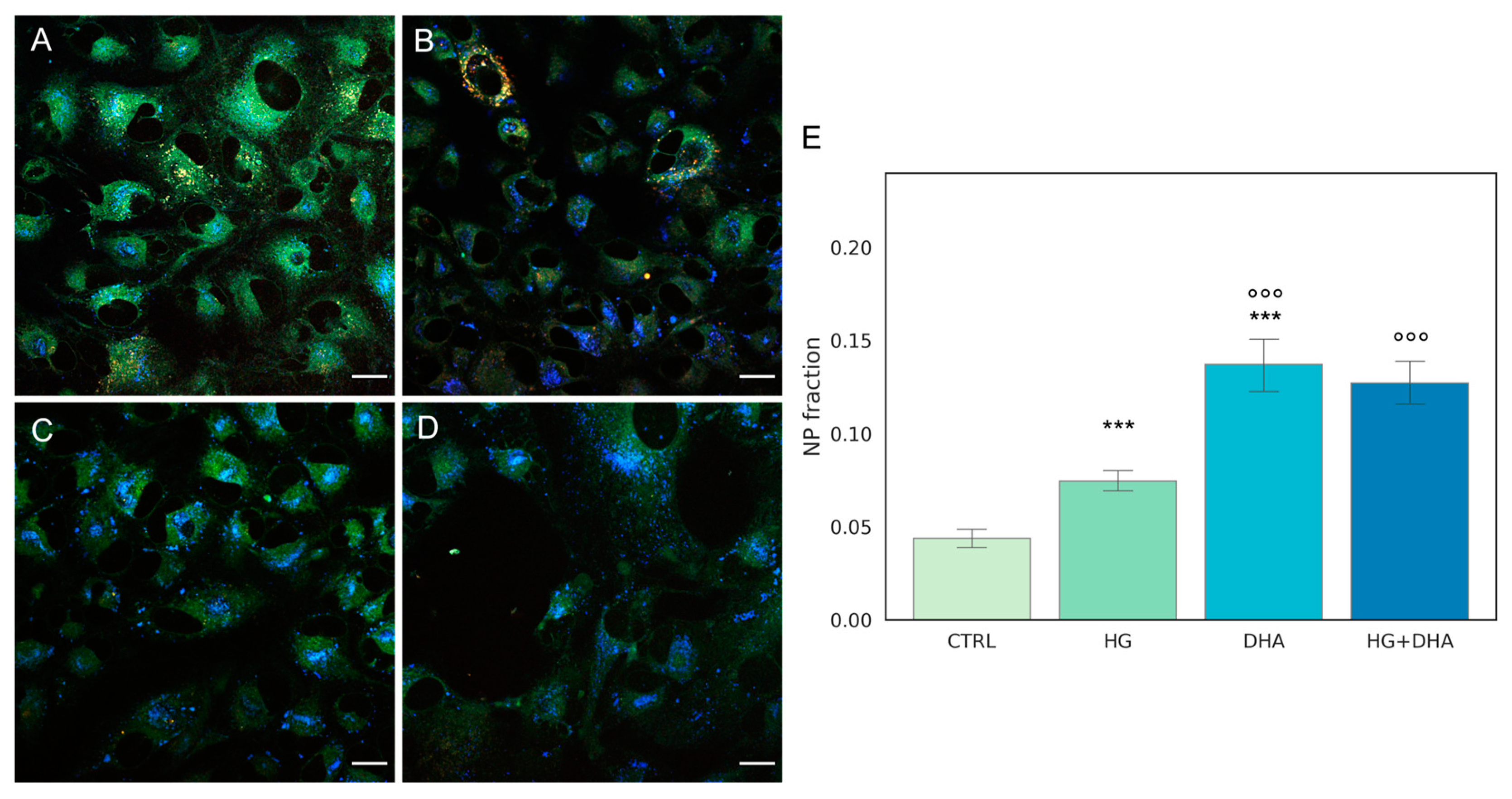 Antioxidants 12 00339 g003