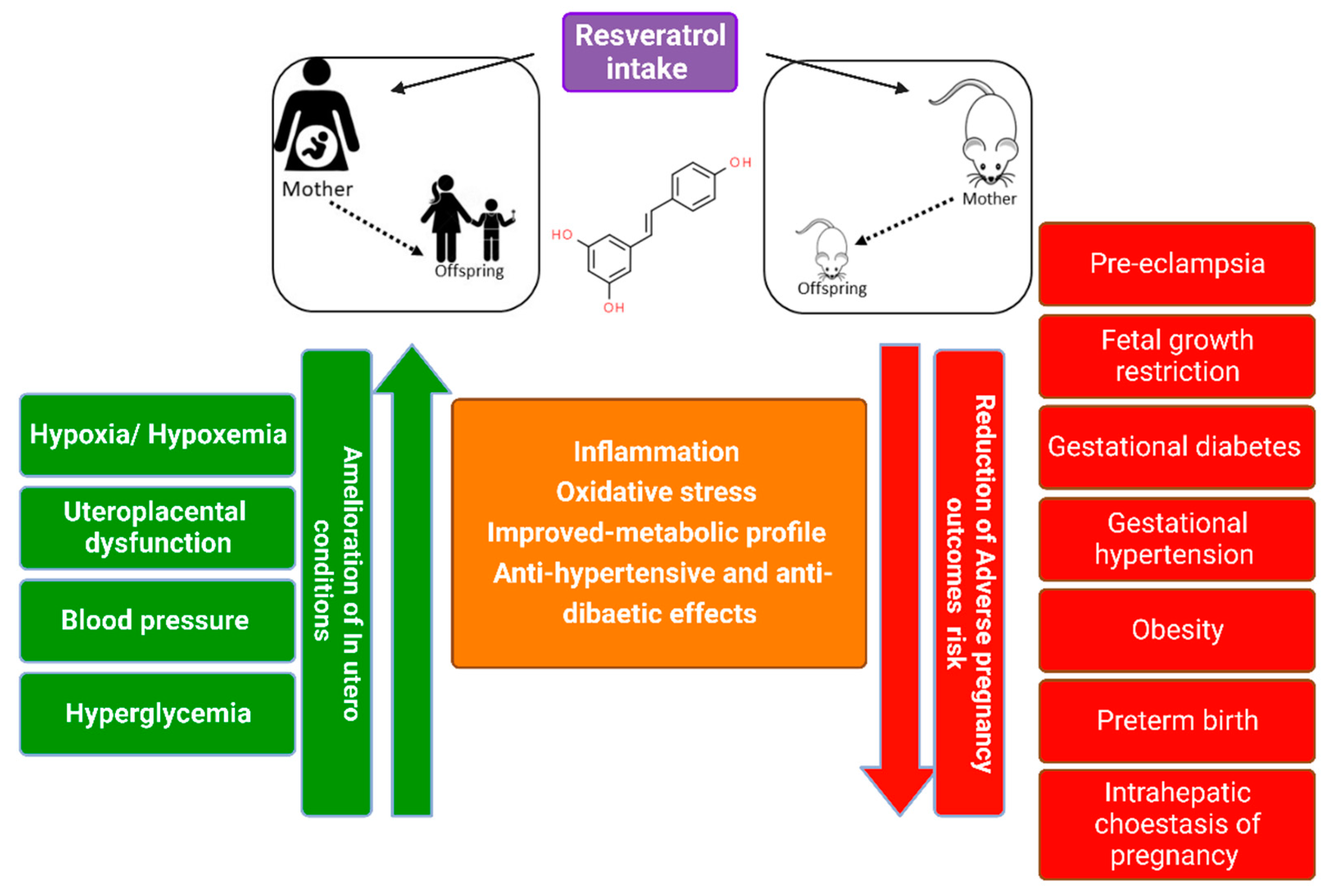 Antioxidants 12 00341 g002