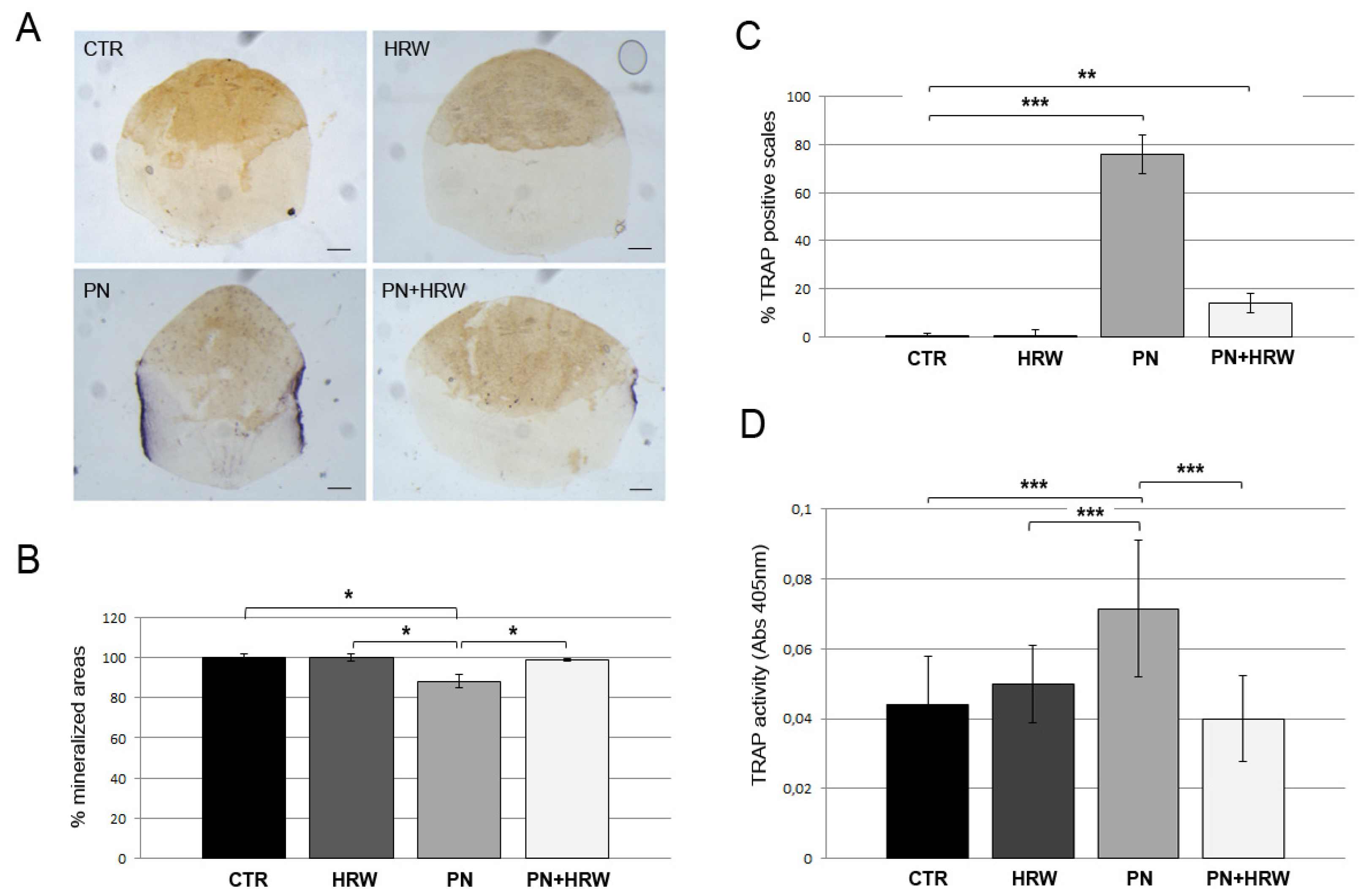 Antioxidants 12 00345 g003 Antioxidants 12 00345 g003