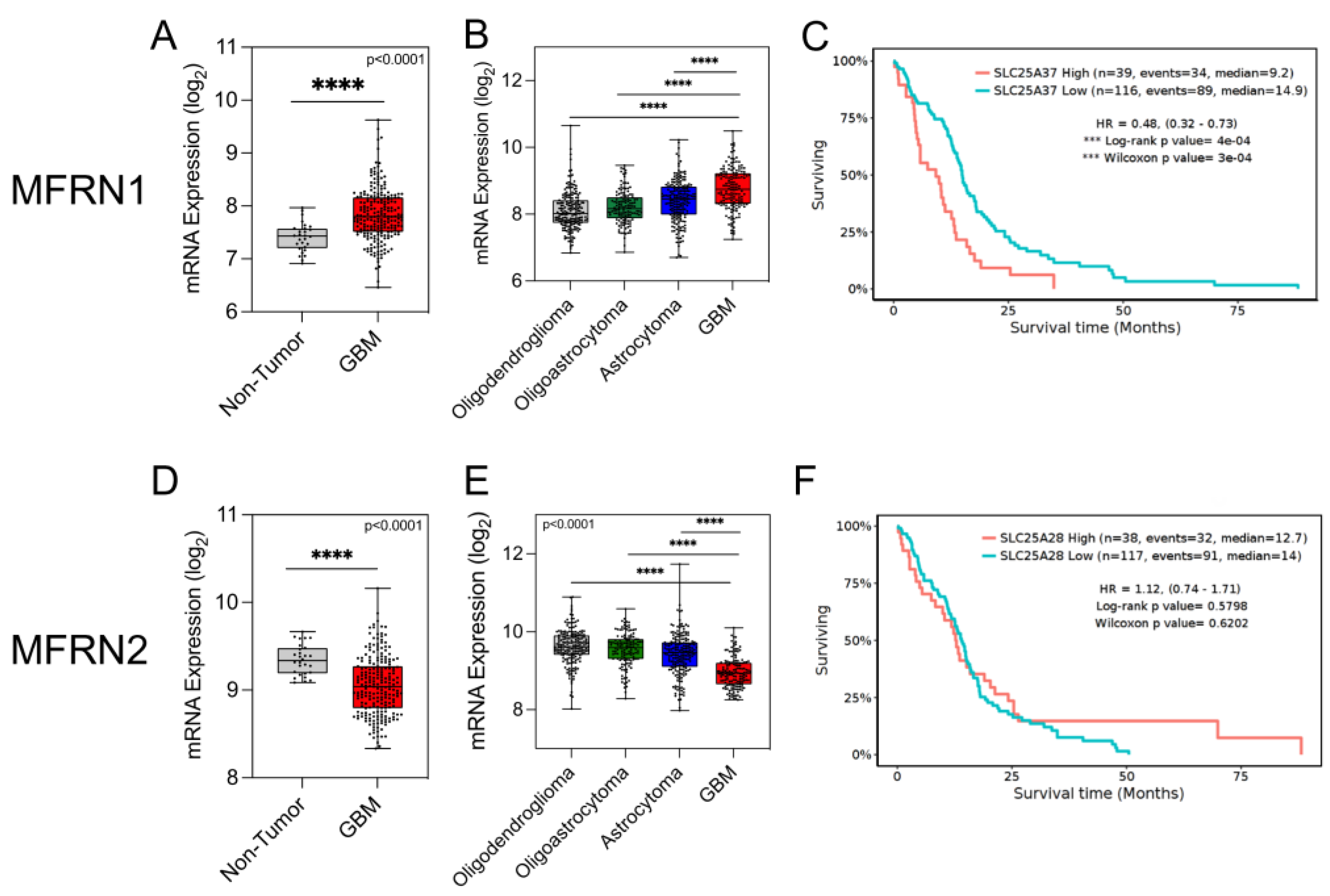 Antioxidants 12 00349 g001