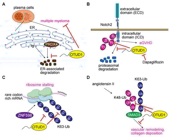 Antioxidants 12 00350 g006