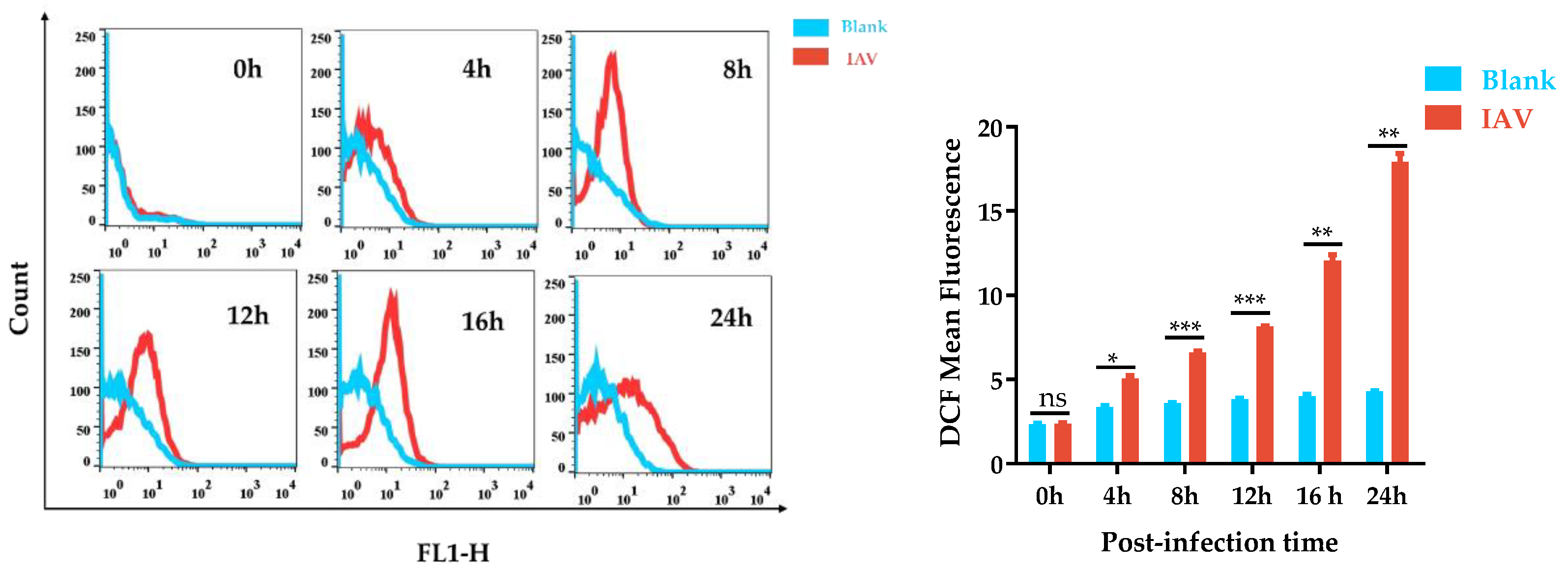 Antioxidants 12 00354 g001