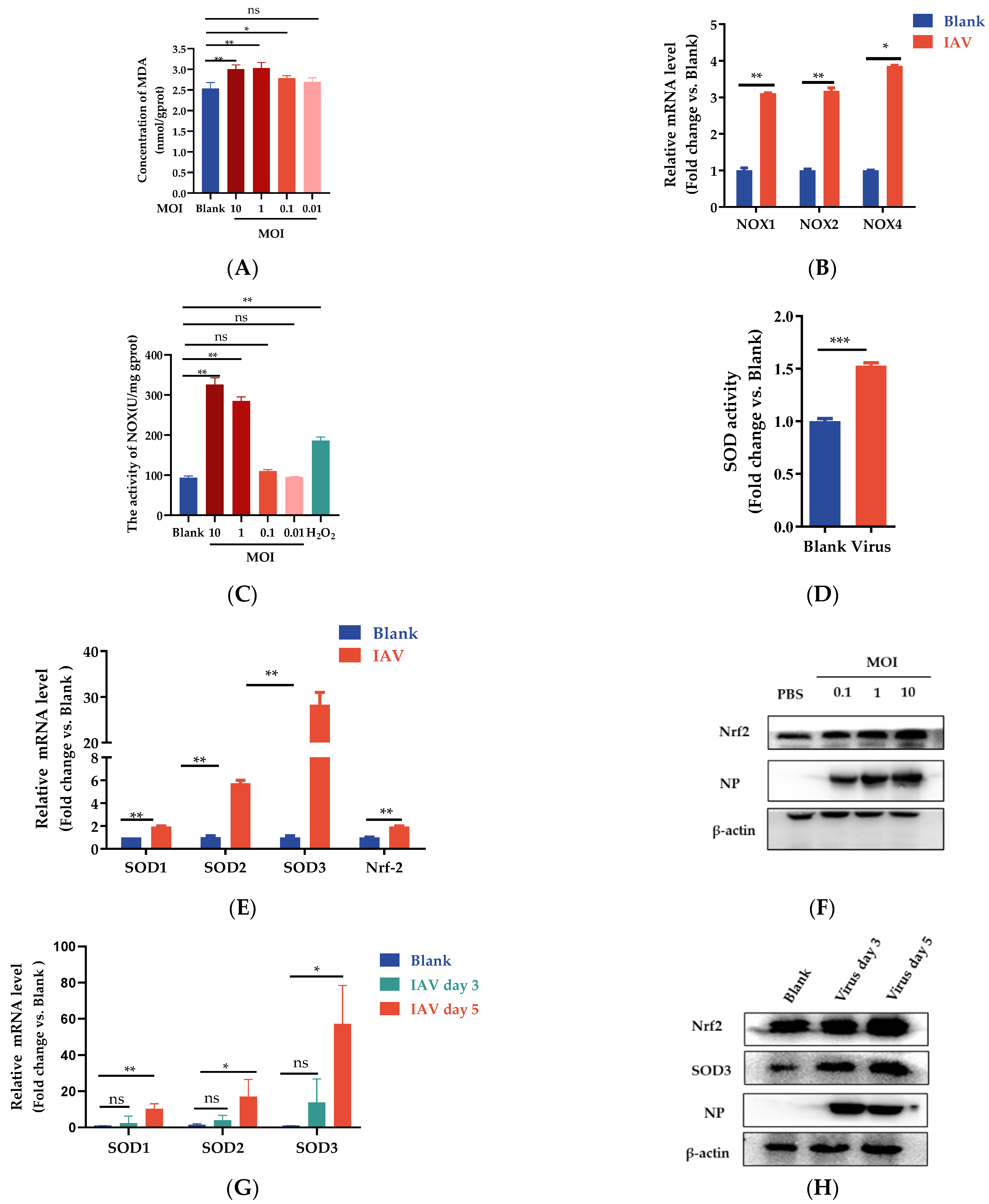 Antioxidants 12 00354 g002a
