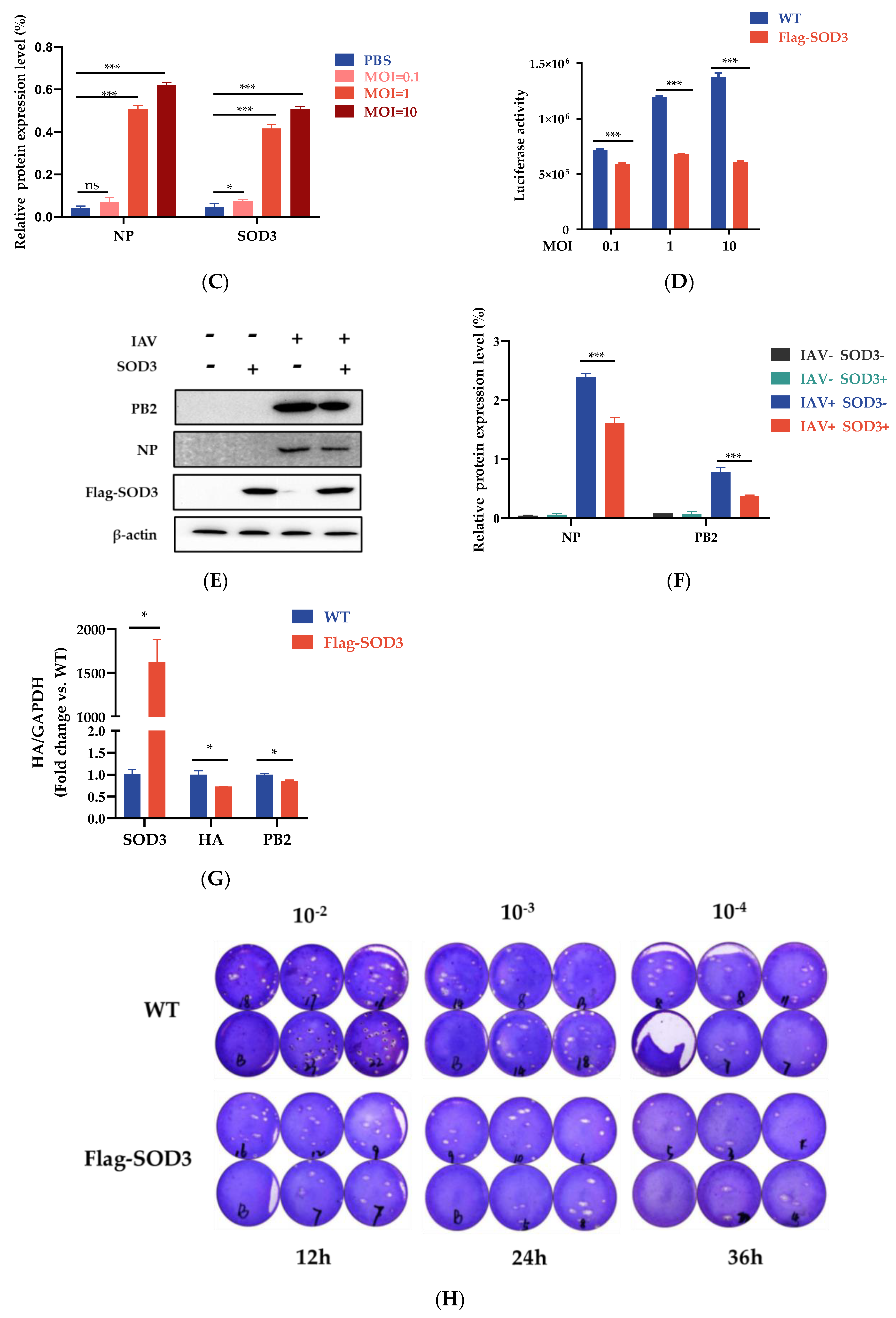 Antioxidants 12 00354 g003b