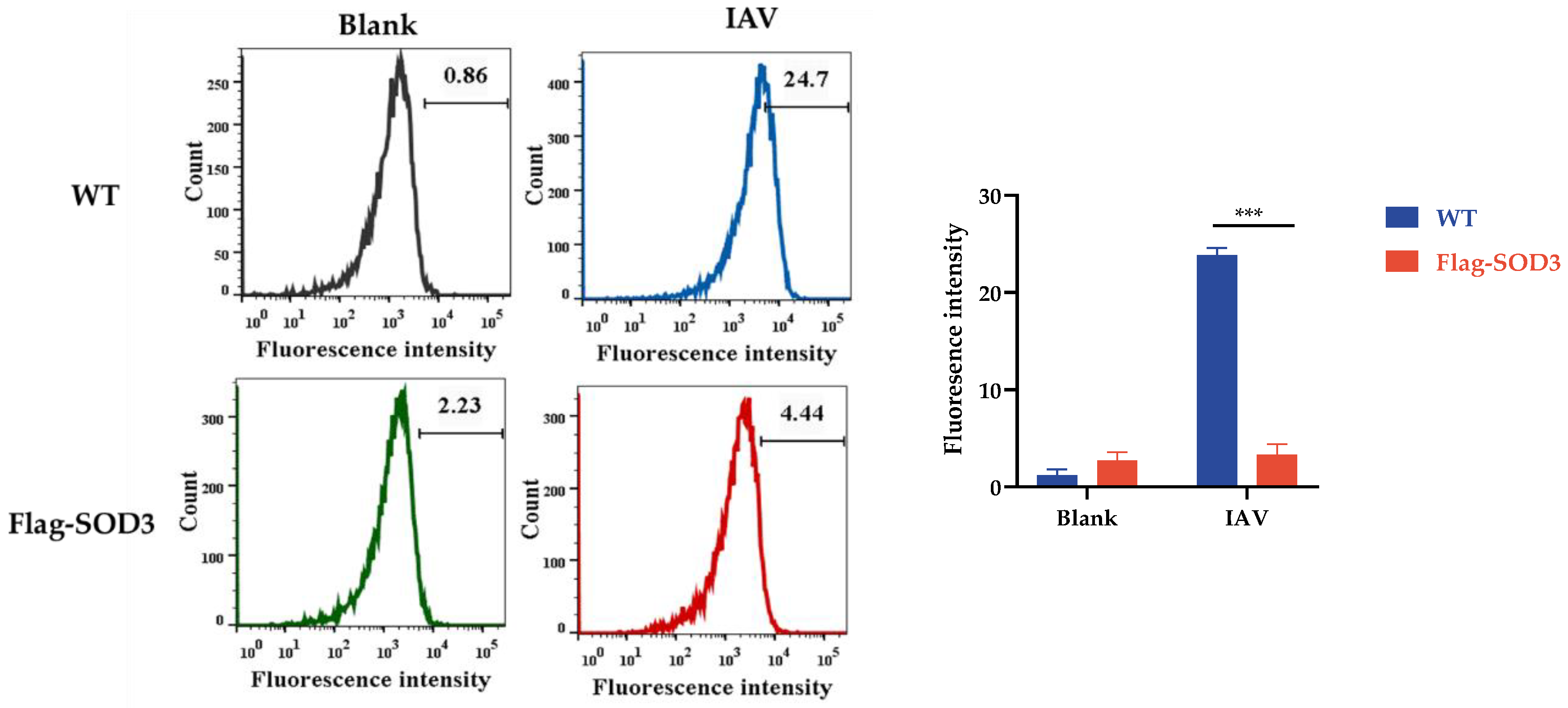 Antioxidants 12 00354 g005